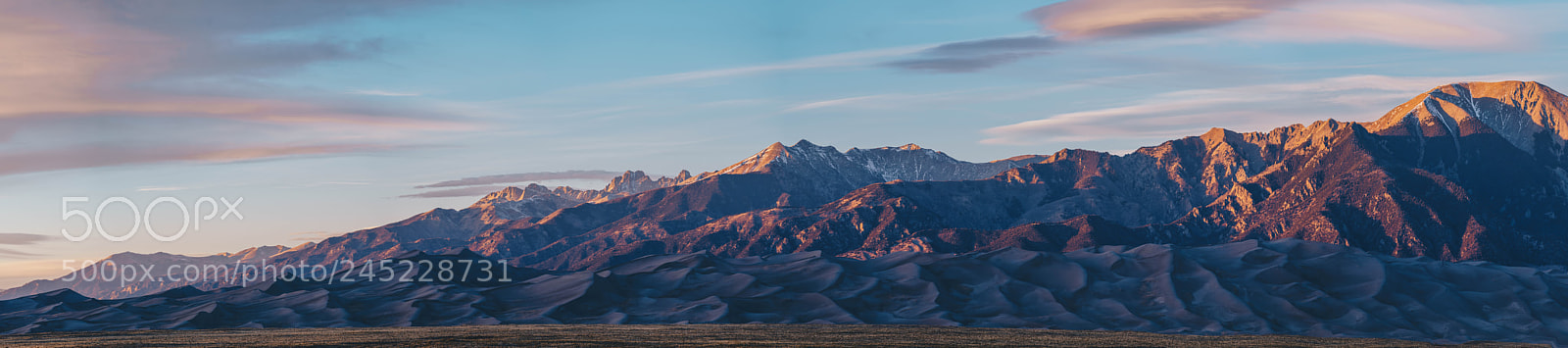 Sony a7R II sample photo. Variety is the spice photography