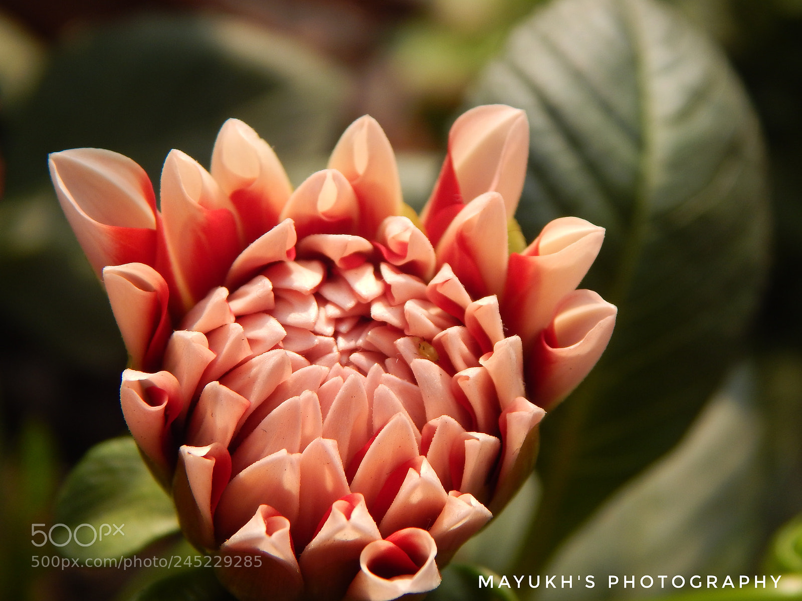 Nikon Coolpix L830 sample photo. ... photography