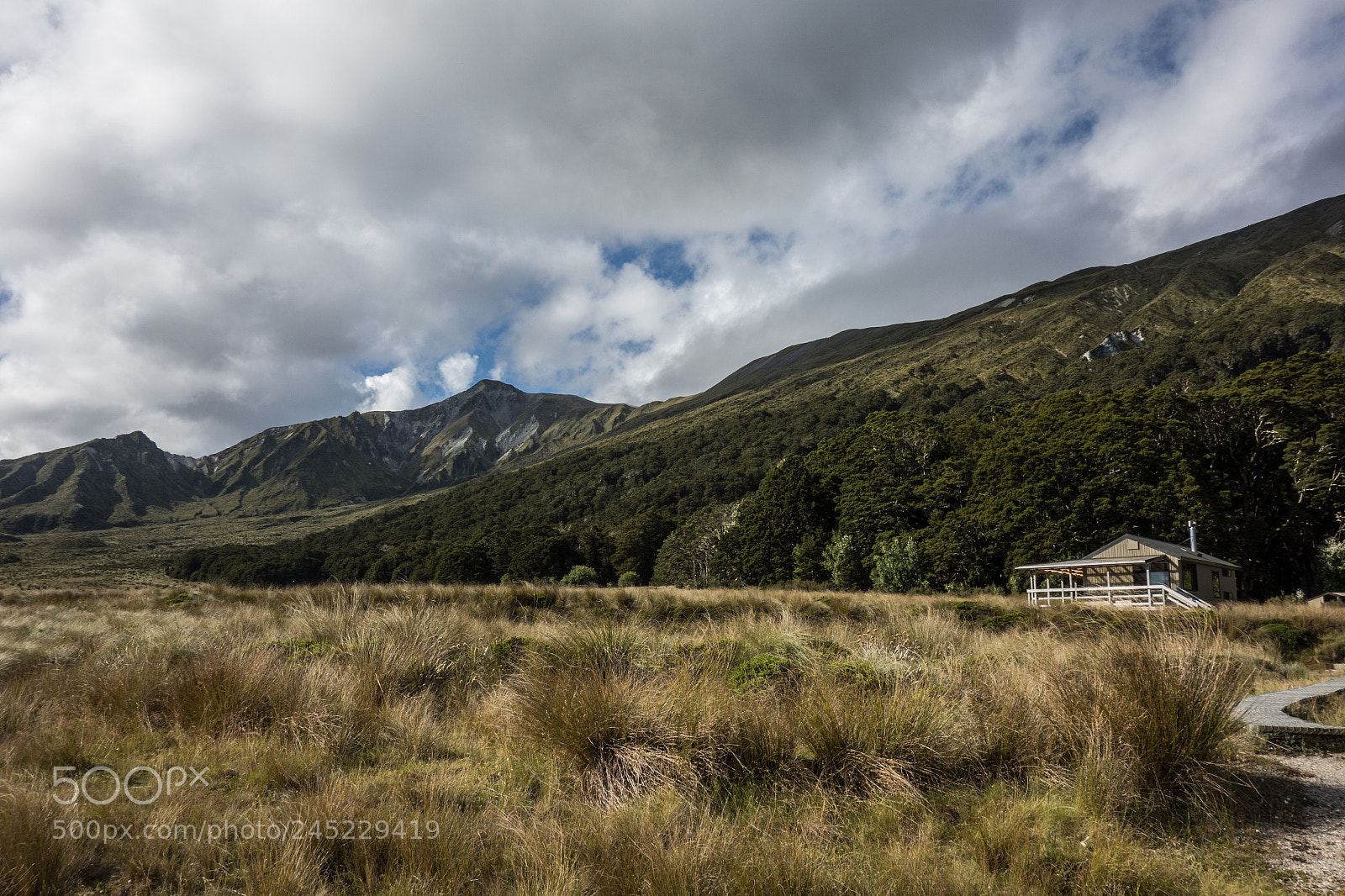 Sony Cyber-shot DSC-RX100 sample photo. Green lake hut photography
