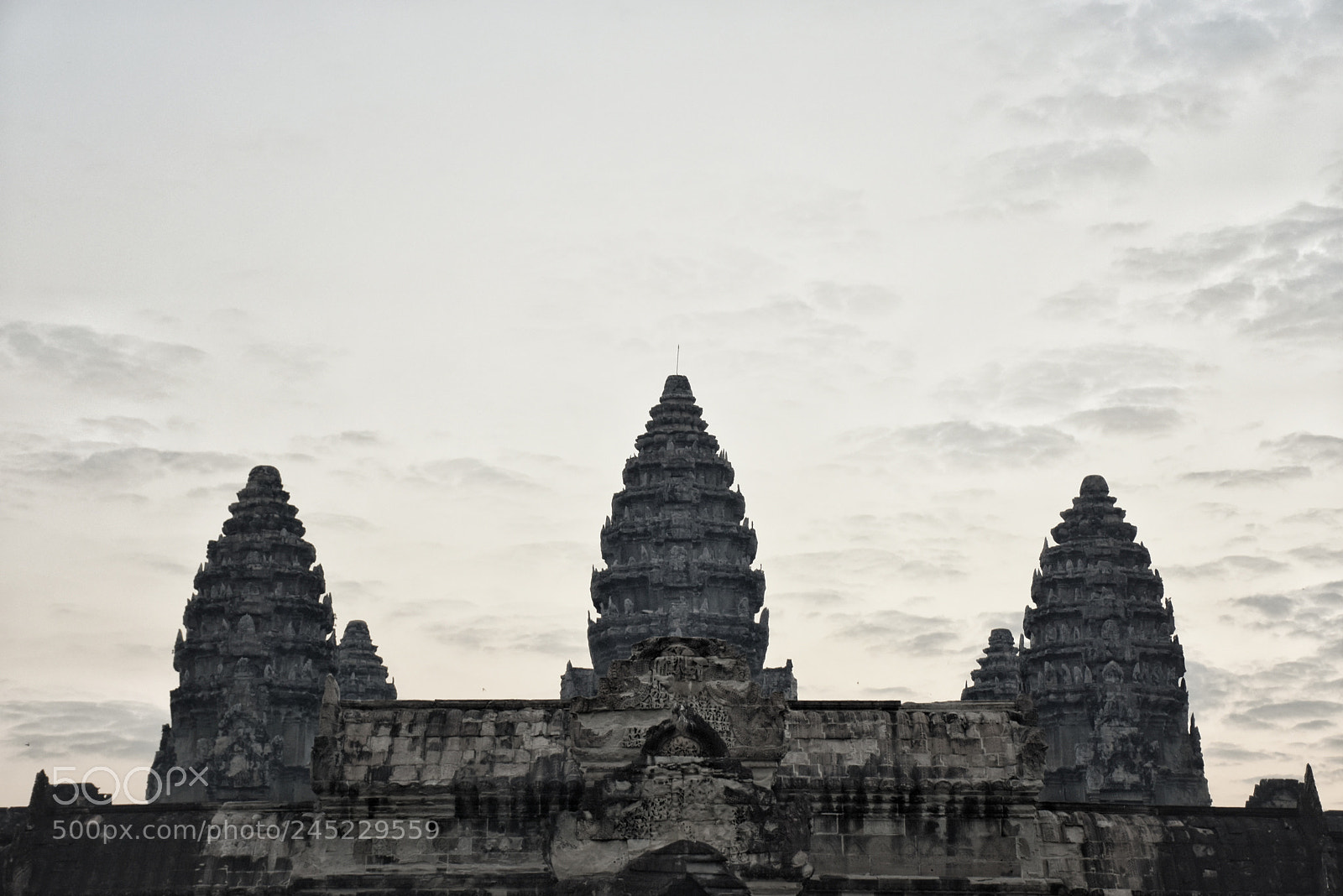 Nikon D7200 sample photo. Untitled photography