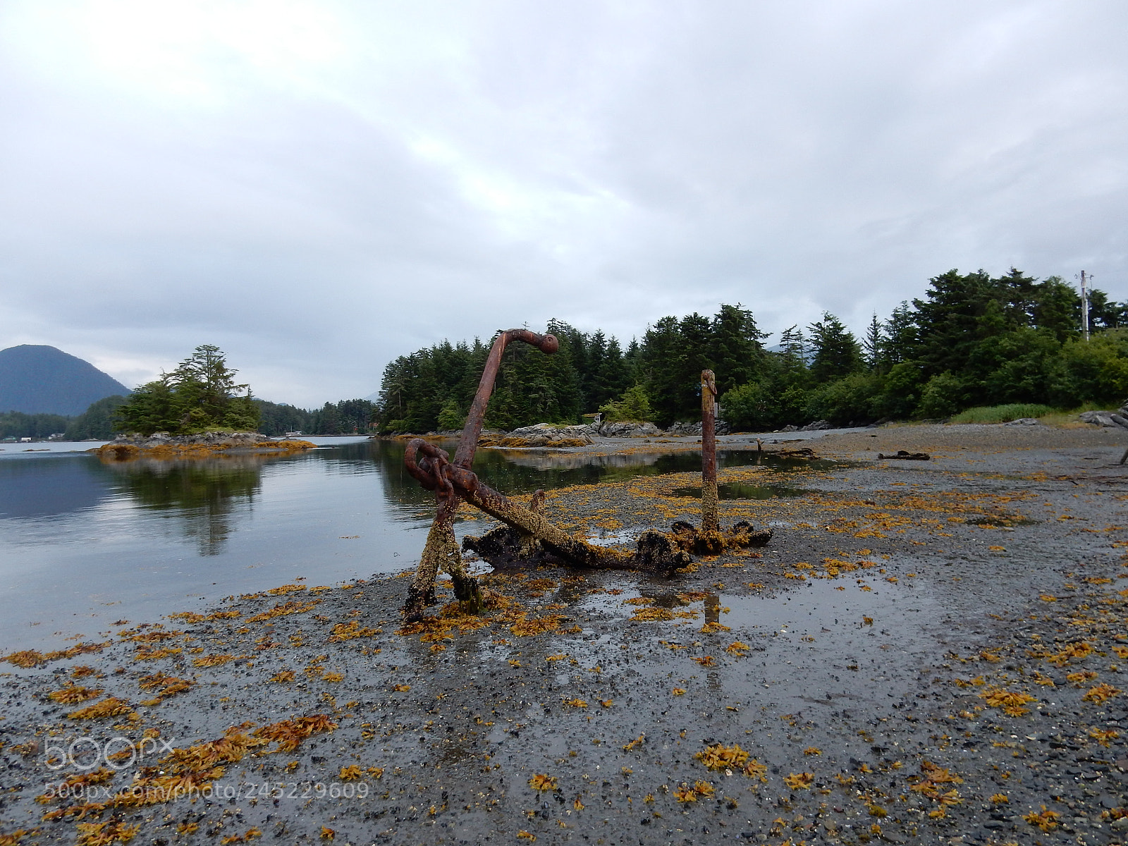 Nikon Coolpix S9900 sample photo. Old anchors photography