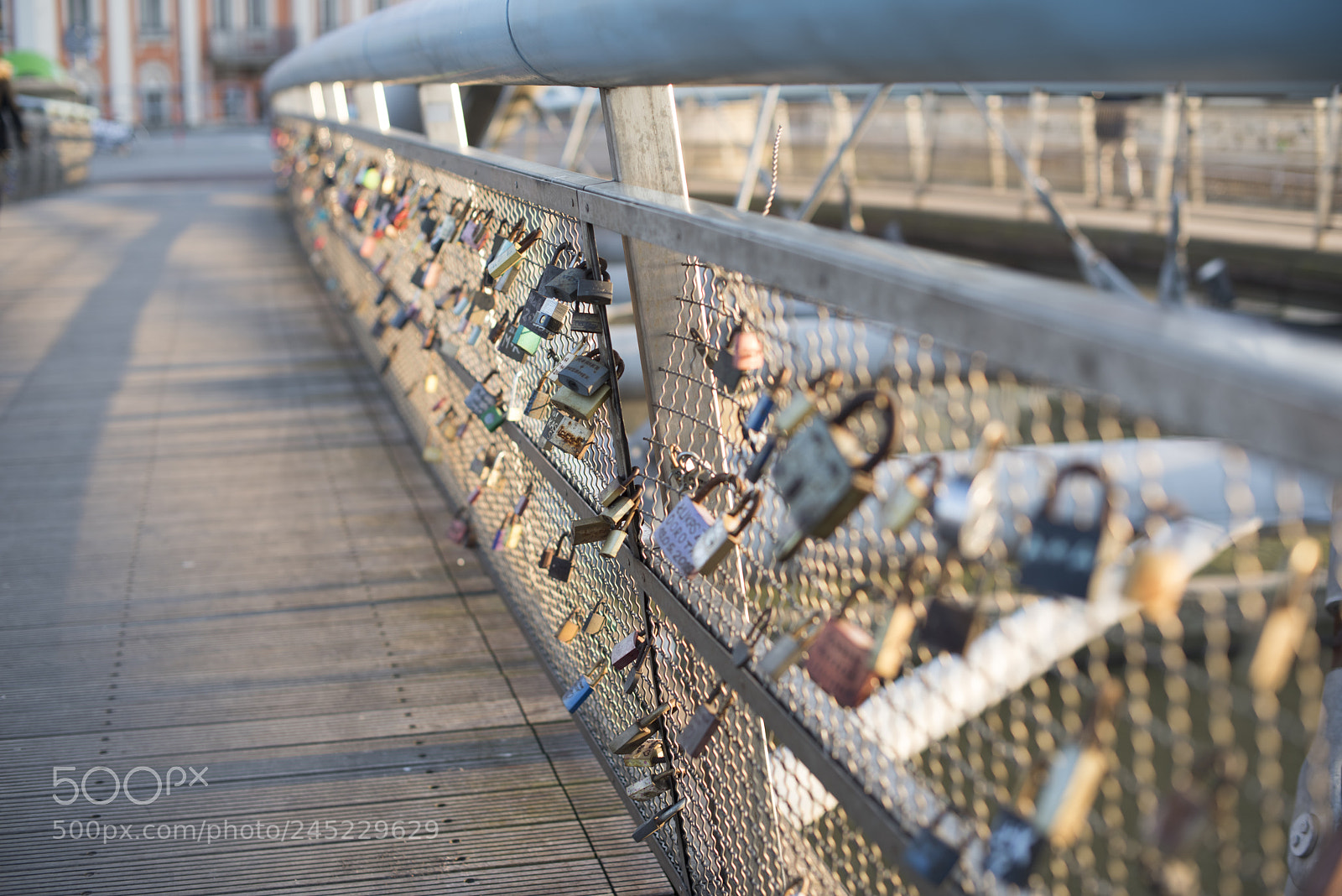 Nikon D810 sample photo. Locks of love on photography