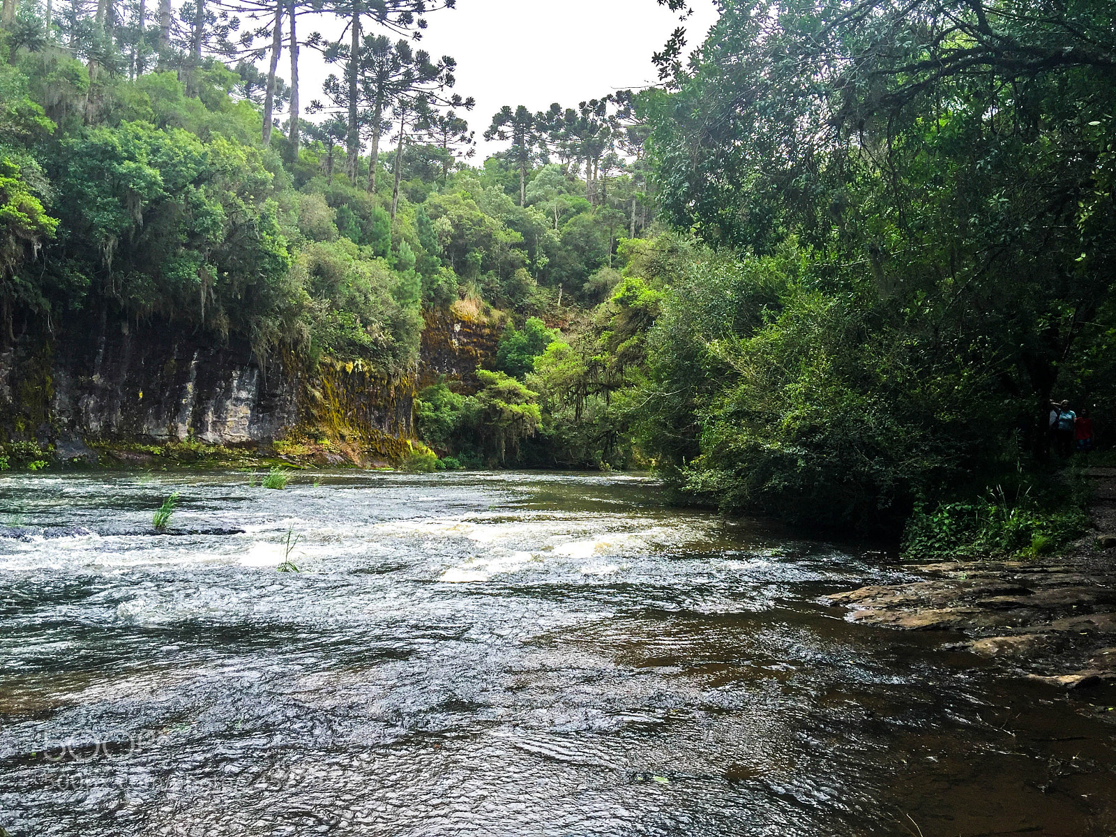 Apple iPhone 6 Plus sample photo. Canela, rio grande do photography