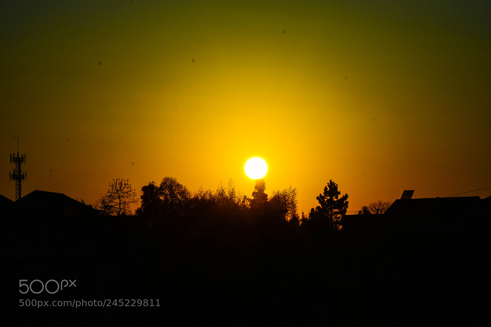 Nikon D610 sample photo. Untitled photography