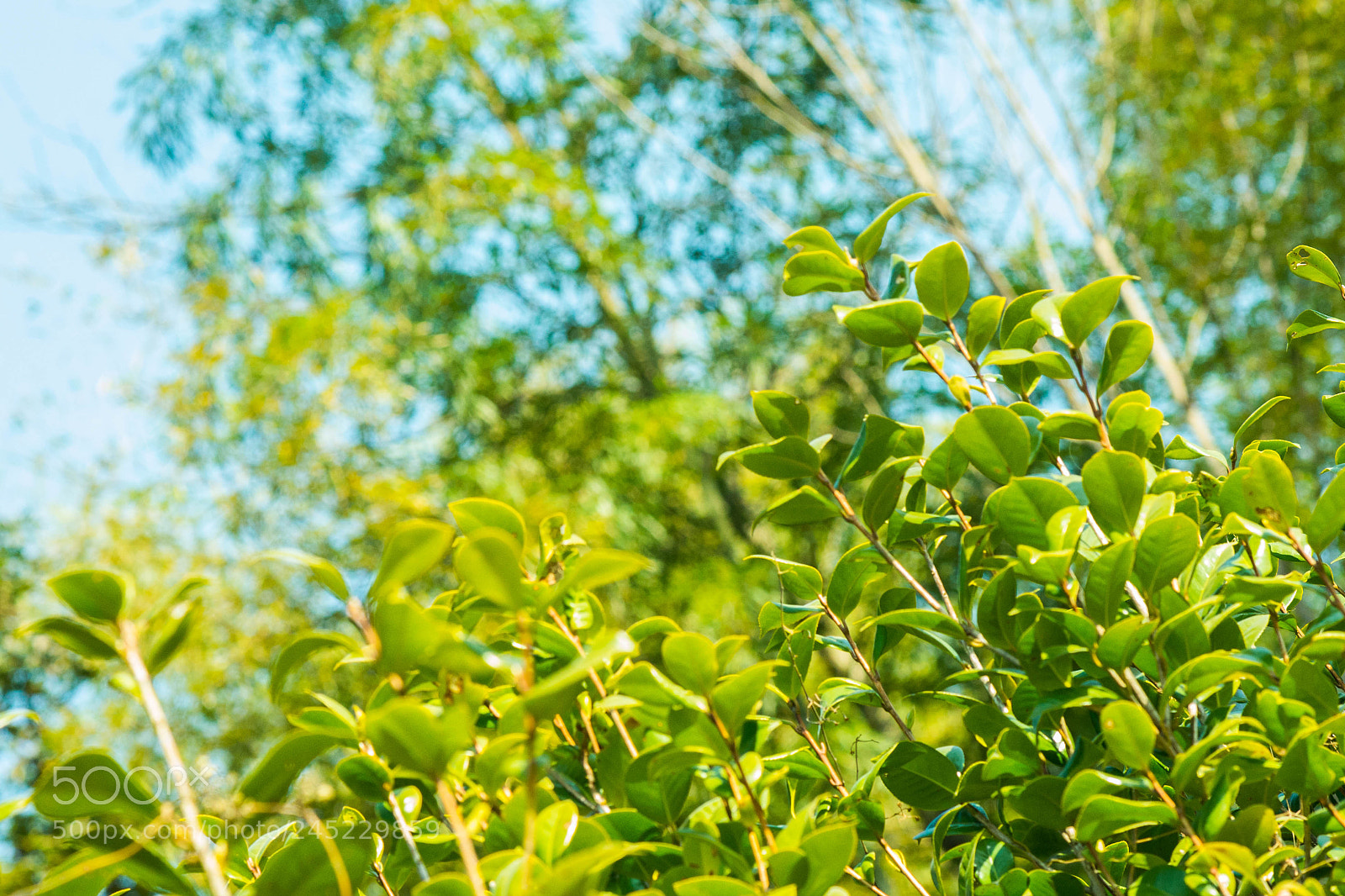 Nikon D610 sample photo. Untitled photography