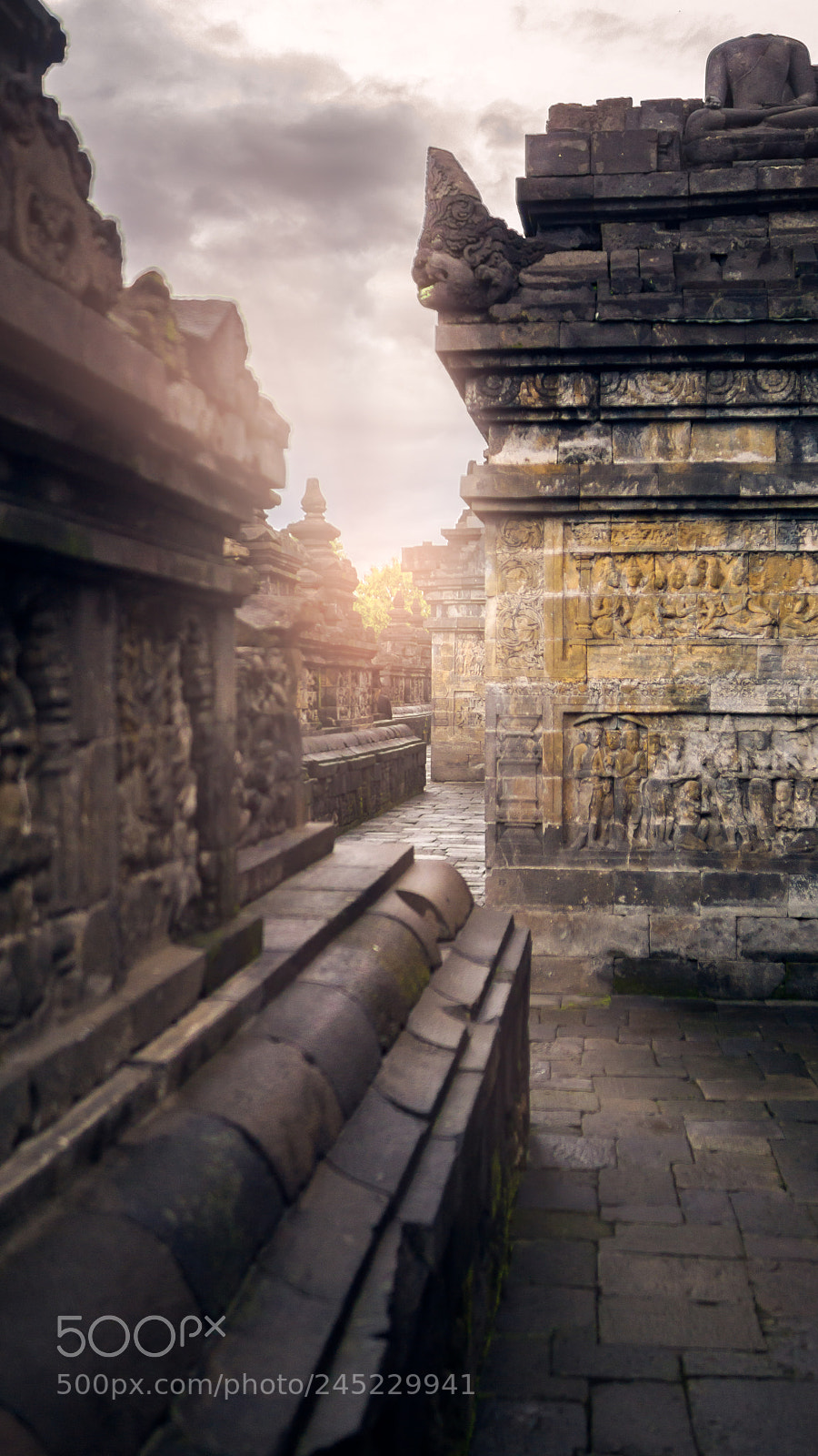 Sony SLT-A77 sample photo. Walking borobudur photography
