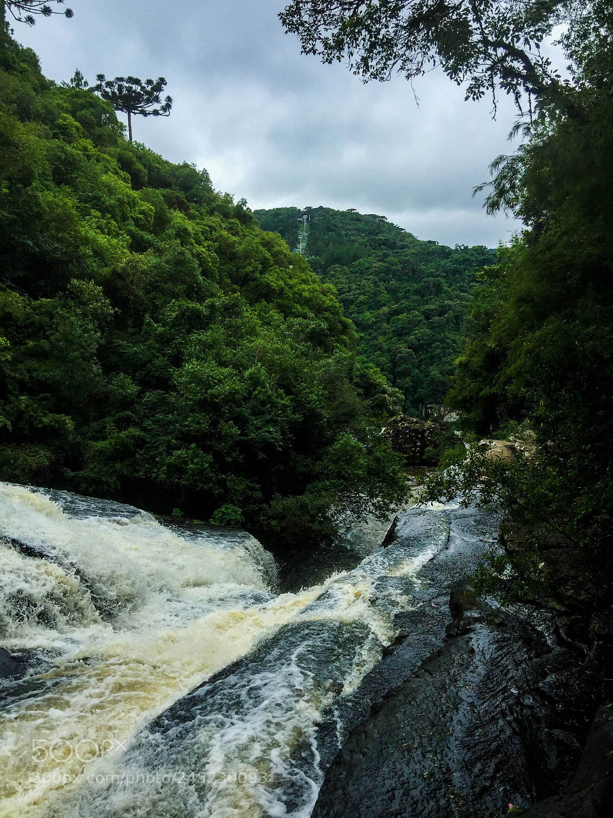 Apple iPhone 6 Plus sample photo. Canela, rio grande do photography