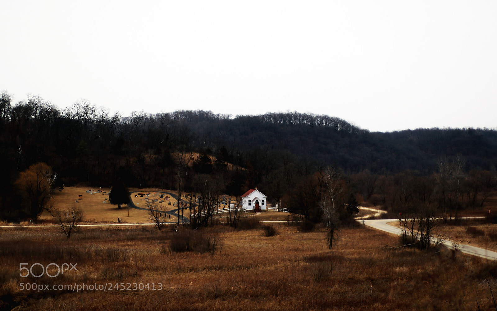Canon EOS 7D Mark II sample photo. Forever young photography