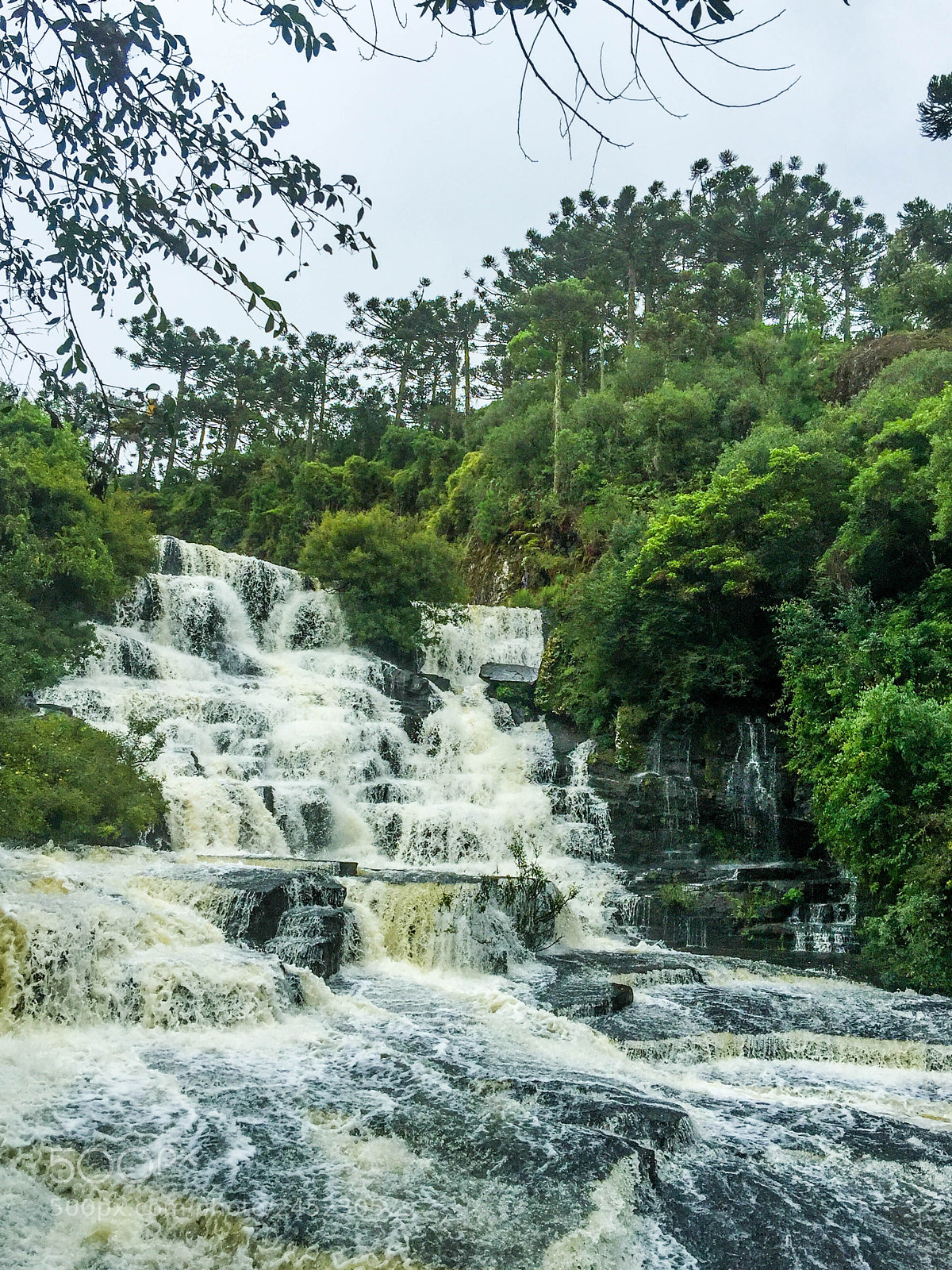 Apple iPhone 6 Plus sample photo. Canela, rio grande do photography