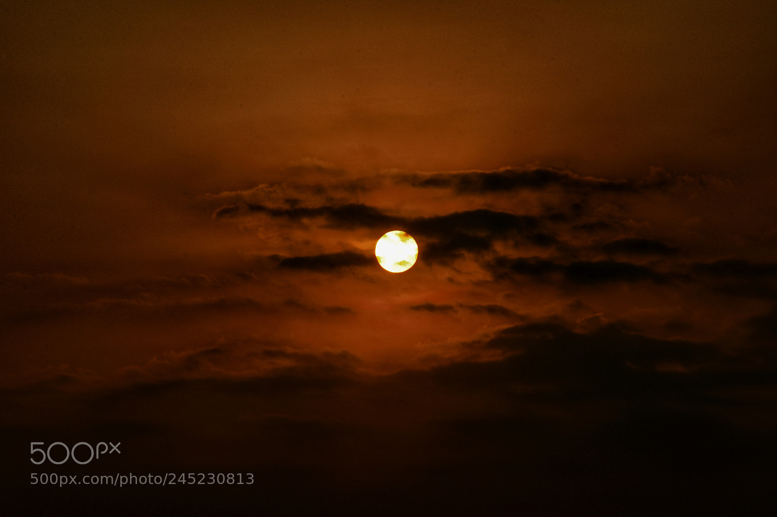 Nikon D7200 sample photo. Untitled photography