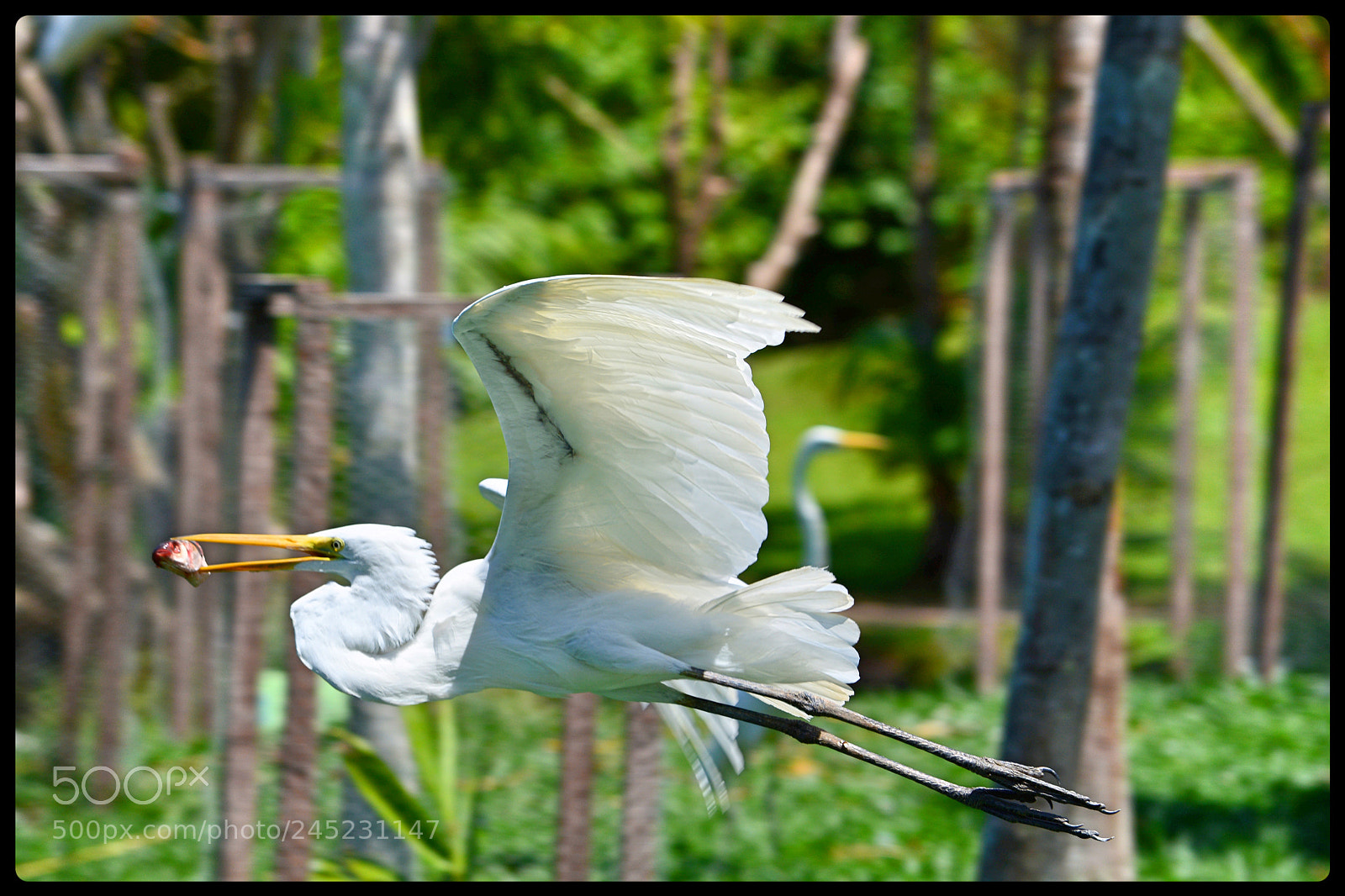 Nikon D5200 sample photo. Untitled photography