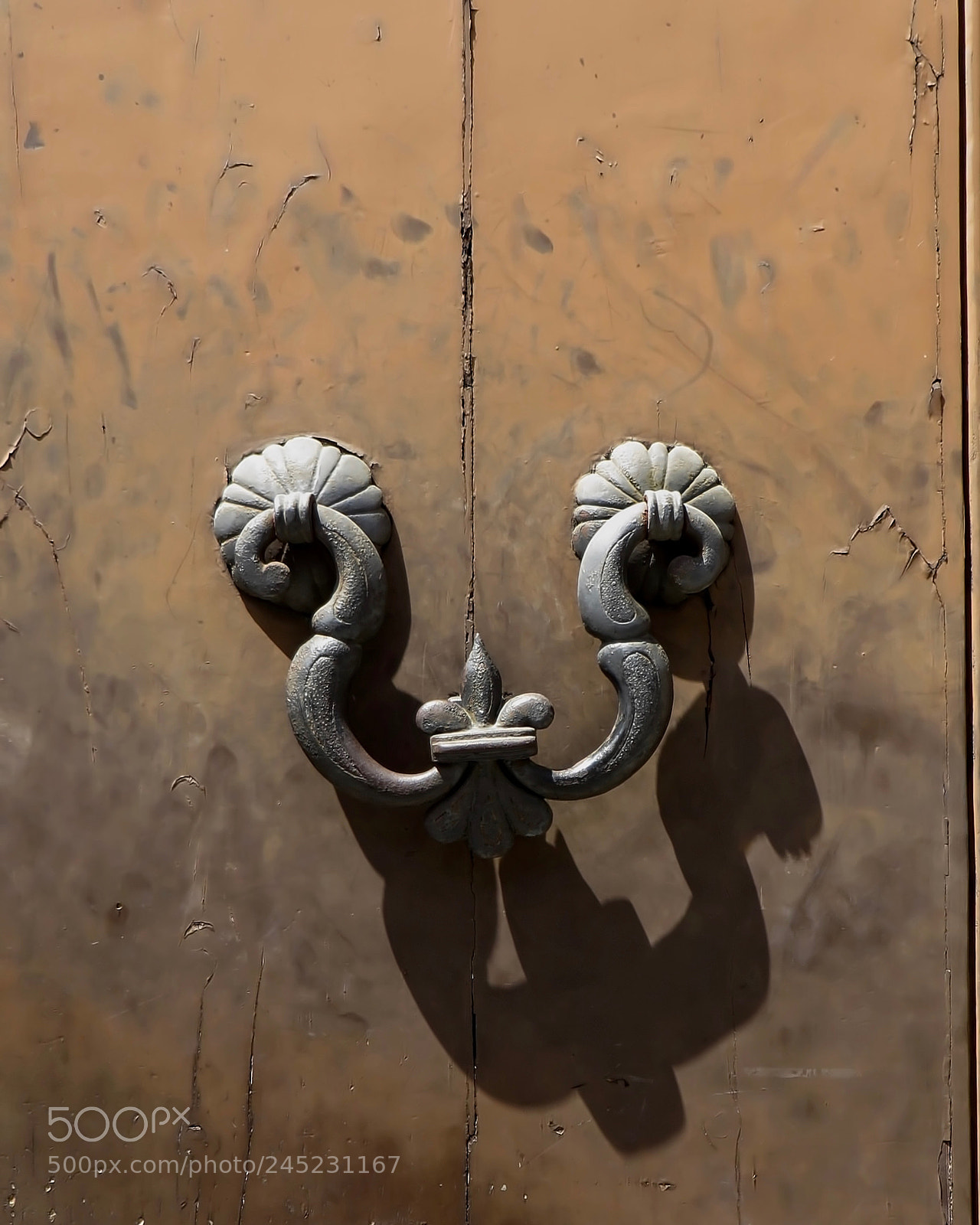 Canon PowerShot SX270 HS sample photo. Italian door knocker 1 photography