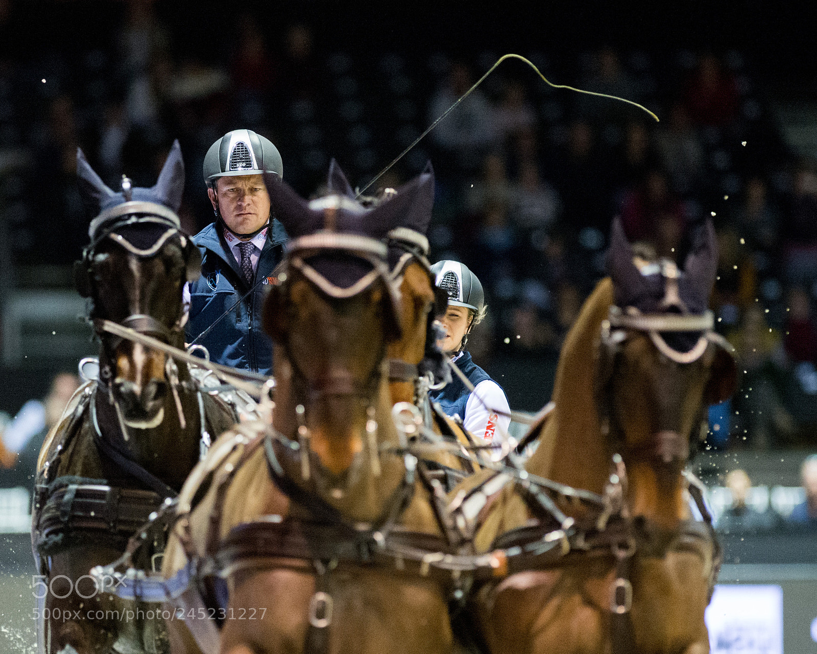 Nikon D4 sample photo. Bordeaux, france, 4.2.2018, sport photography