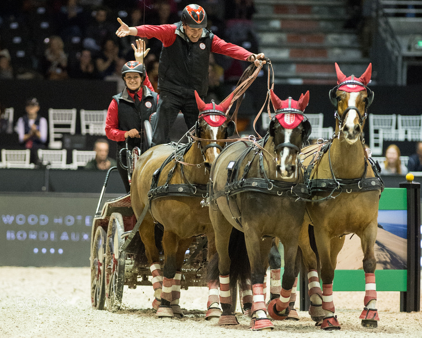 Nikon D4 sample photo. Bordeaux, france, 4.2.2018, sport photography