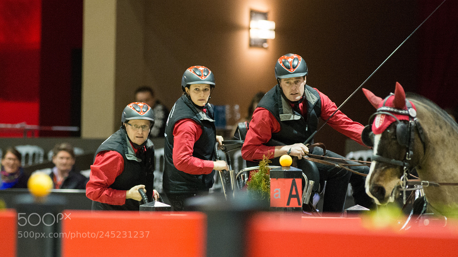 Nikon D4 sample photo. Bordeaux, france, 4.2.2018, sport photography