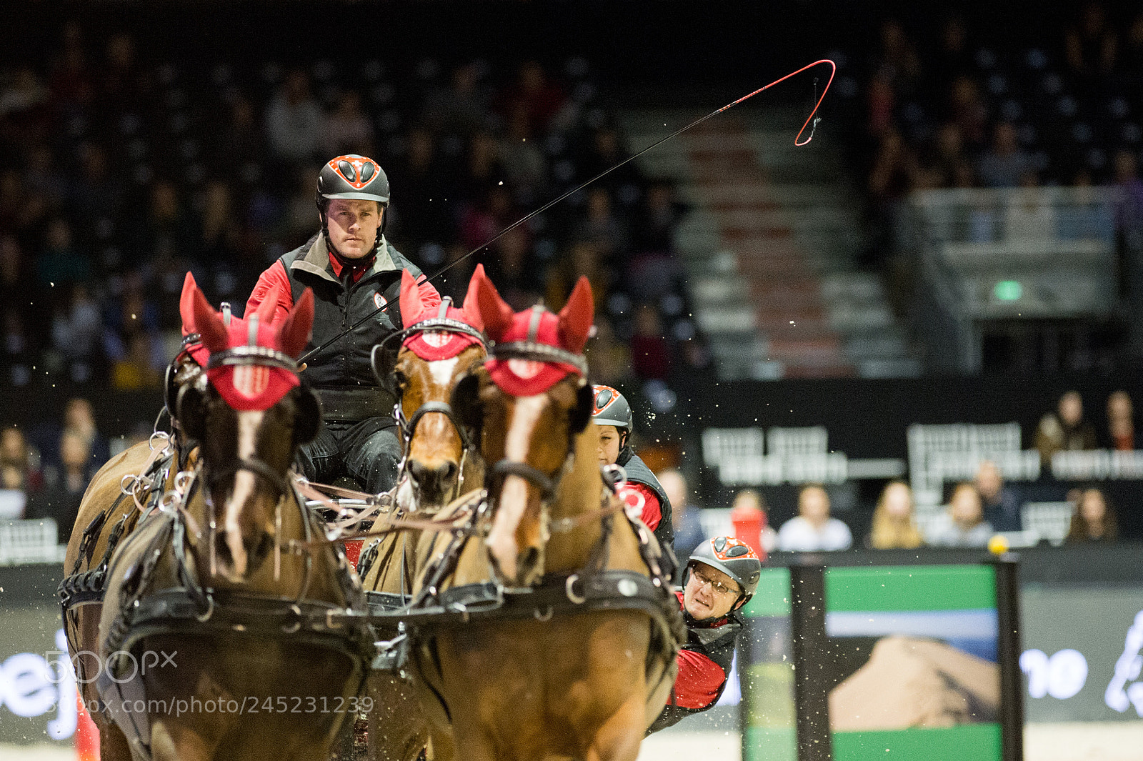 Nikon D4 sample photo. Bordeaux, france, 4.2.2018, sport photography