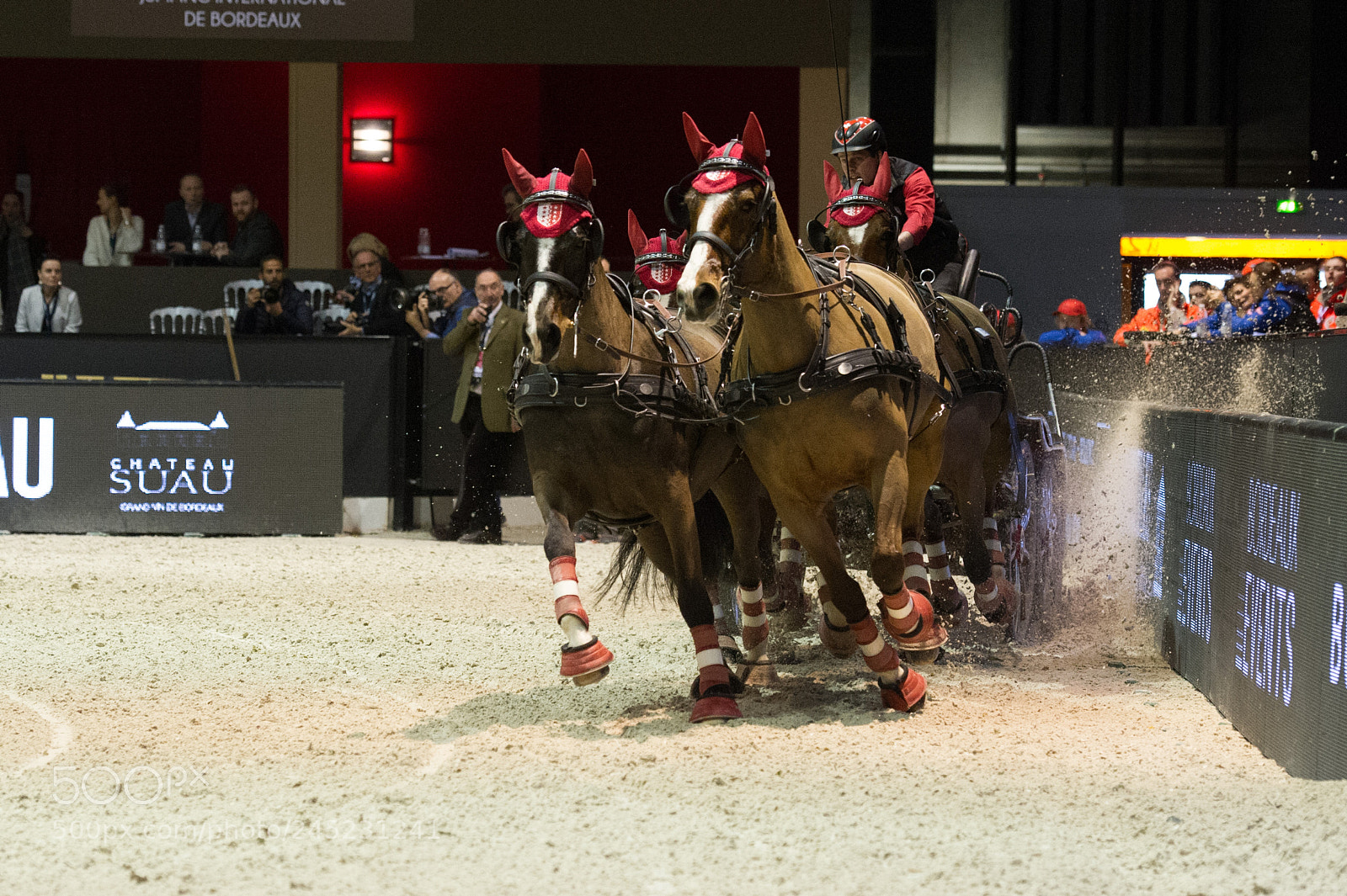 Nikon D3S sample photo. Bordeaux, france, 4.2.2018, sport photography