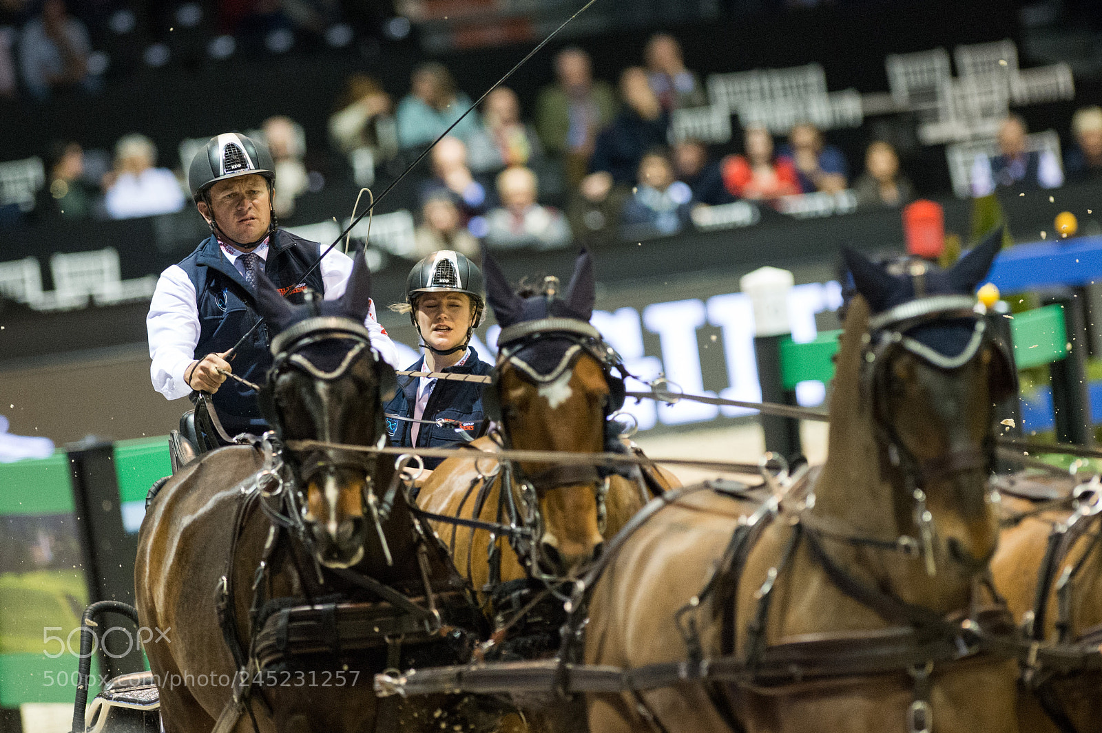 Nikon D4 sample photo. Bordeaux, france, 4.2.2018, sport photography