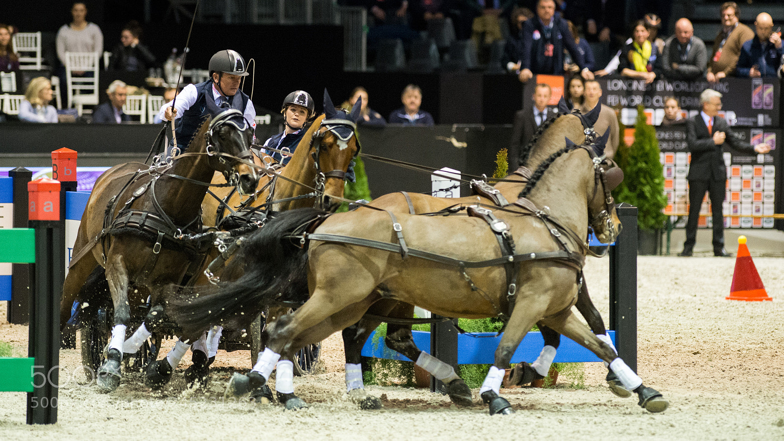Nikon D4 sample photo. Bordeaux, france, 4.2.2018, sport photography