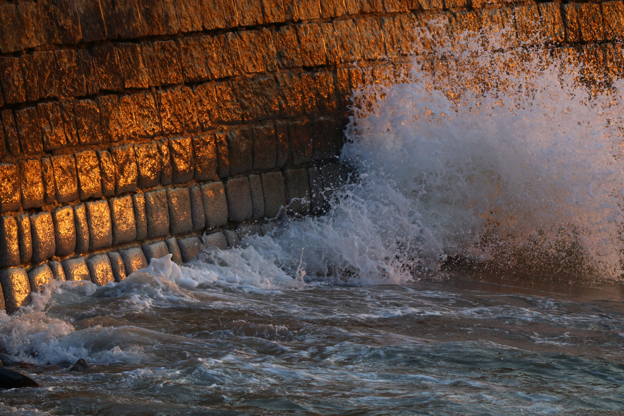 Tamron SP 150-600mm F5-6.3 Di VC USD sample photo. 轻抚的金色海浪a caressing golden sea wave photography