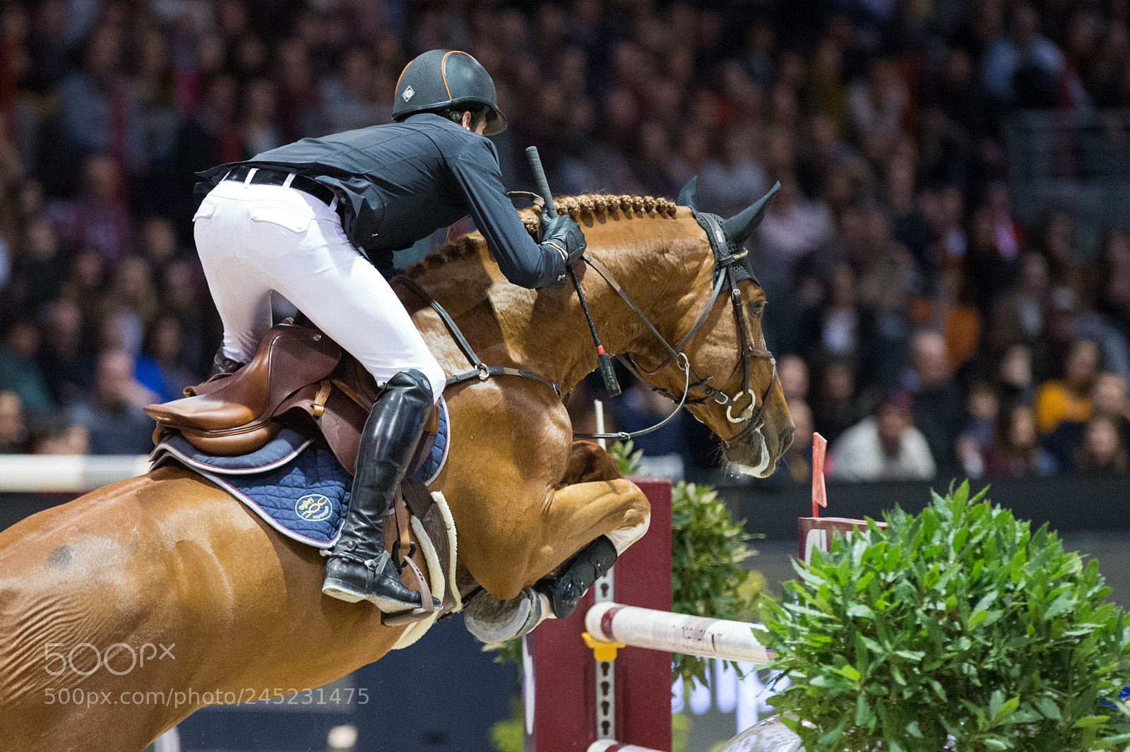 Nikon D4 sample photo. Bordeaux, france, 4.2.2018, sport photography