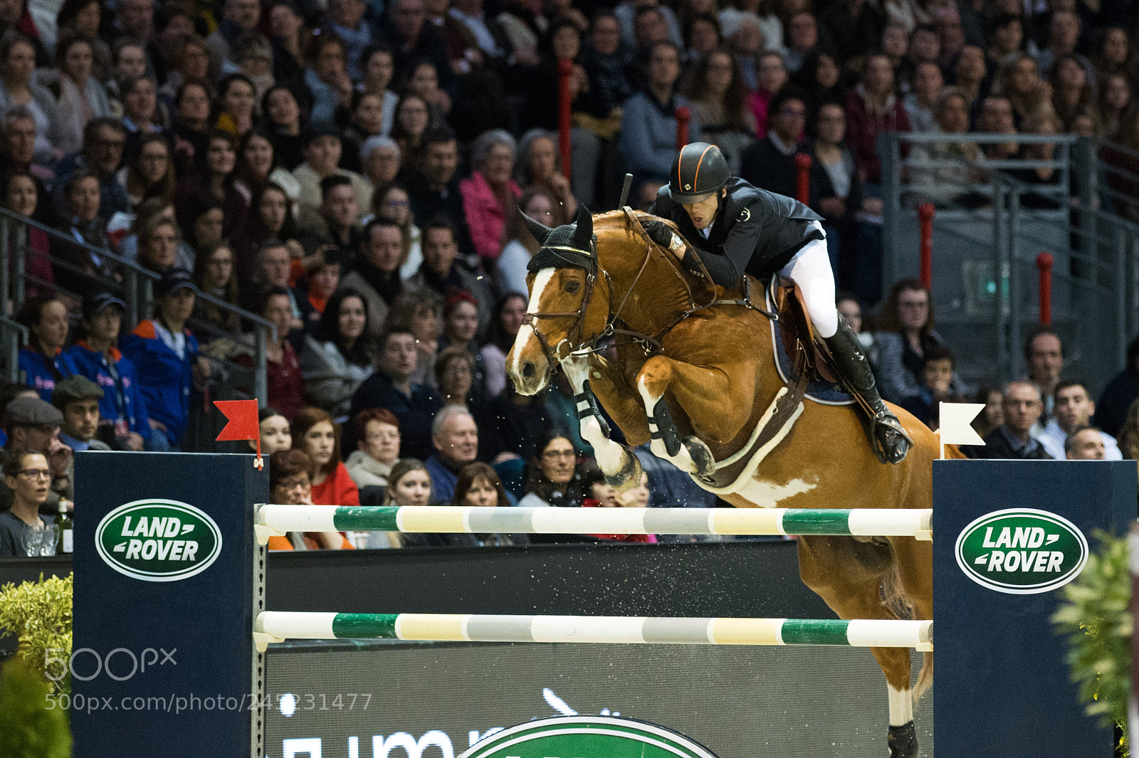 Nikon D4 sample photo. Bordeaux, france, 4.2.2018, sport photography