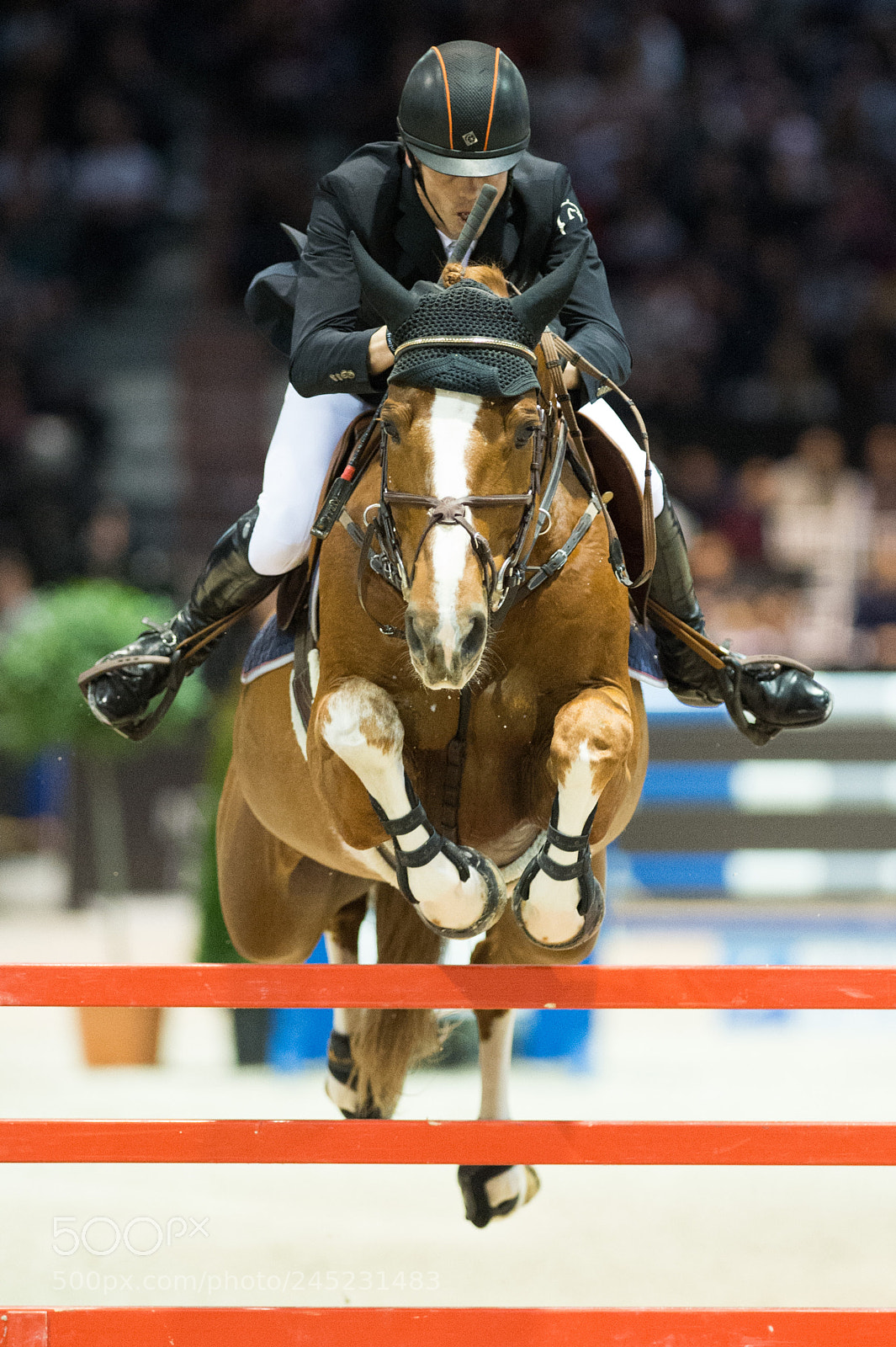 Nikon D4 sample photo. Bordeaux, france, 4.2.2018, sport photography