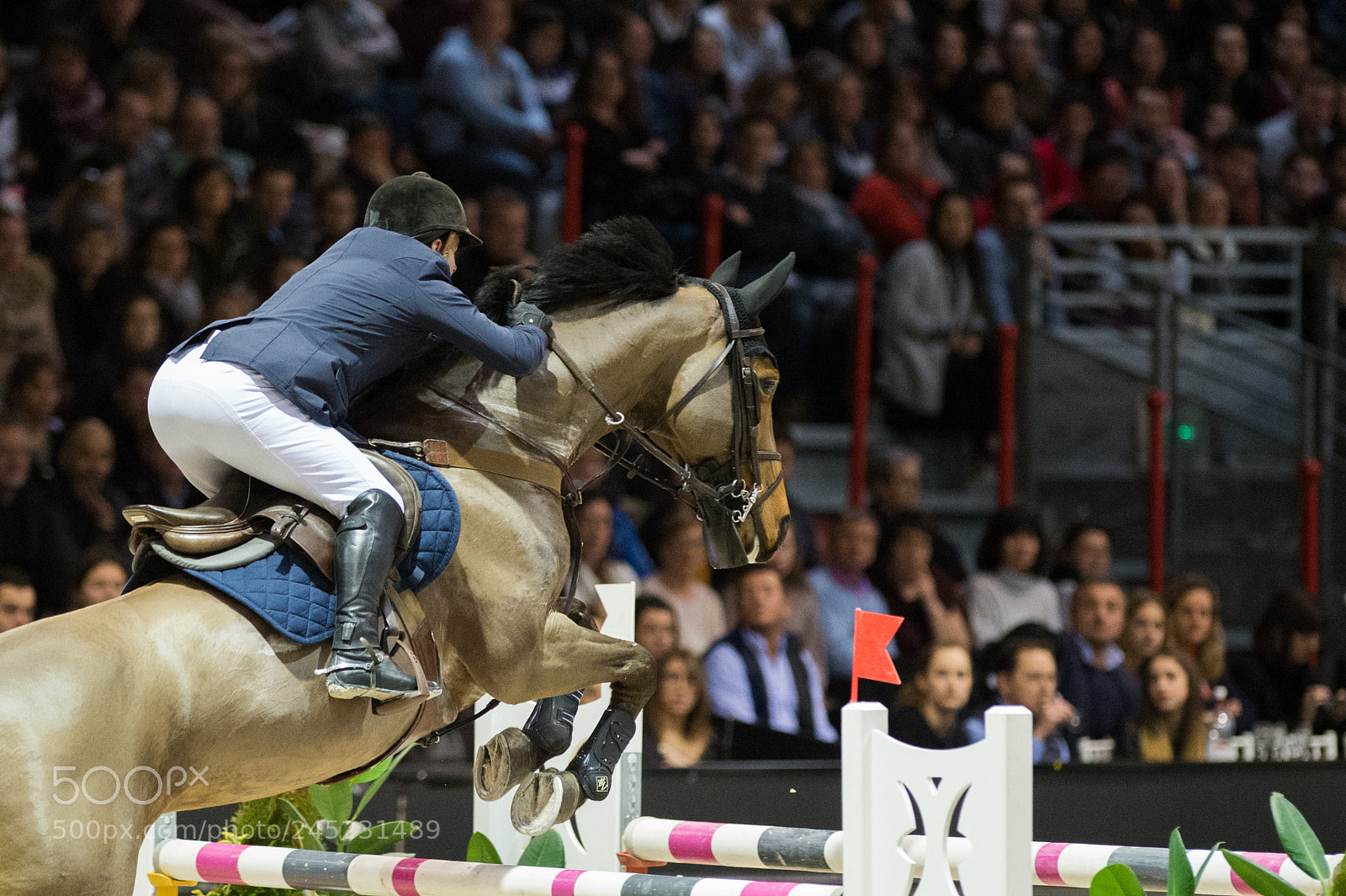 Nikon D4 sample photo. Bordeaux, france, 4.2.2018, sport photography