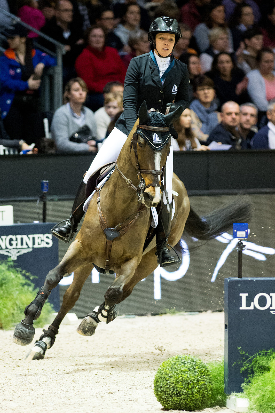 Nikon D4 sample photo. Bordeaux, france, 4.2.2018, sport photography