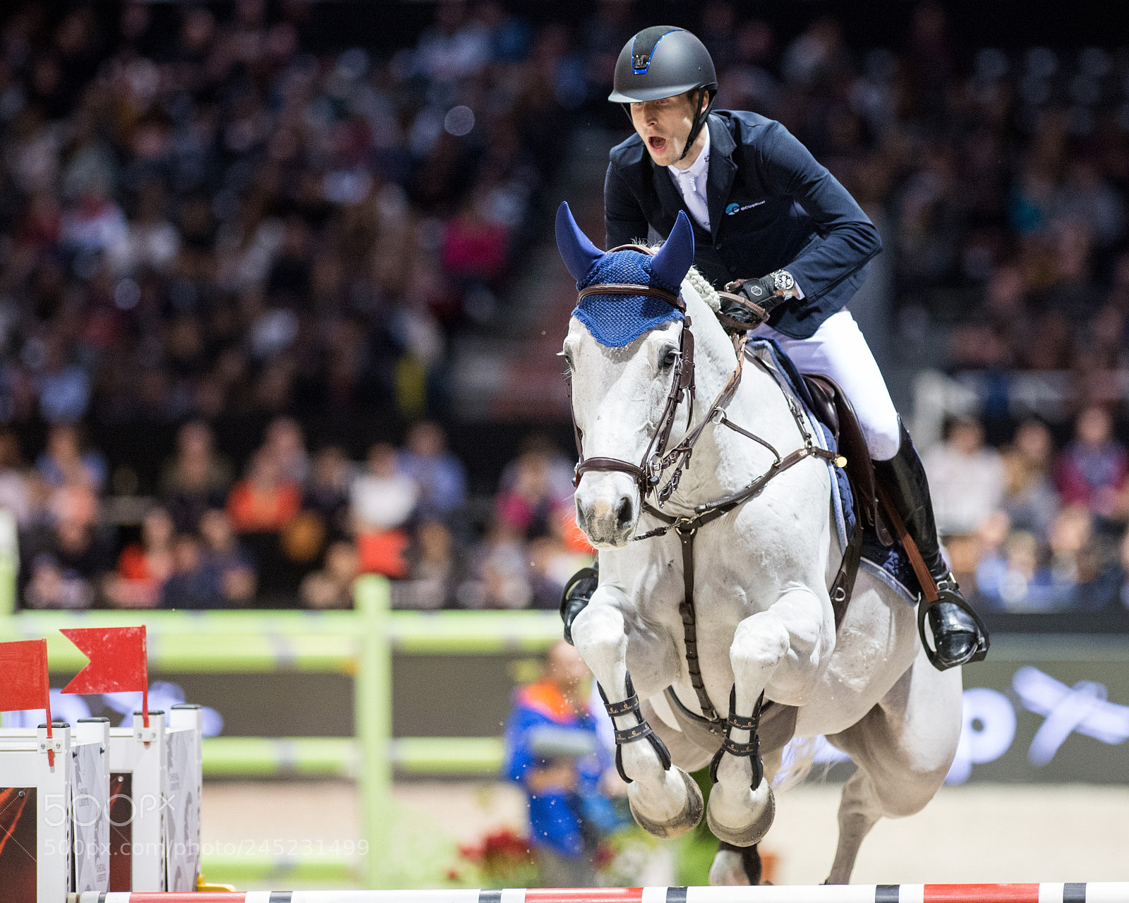 Nikon D4 sample photo. Bordeaux, france, 4.2.2018, sport photography