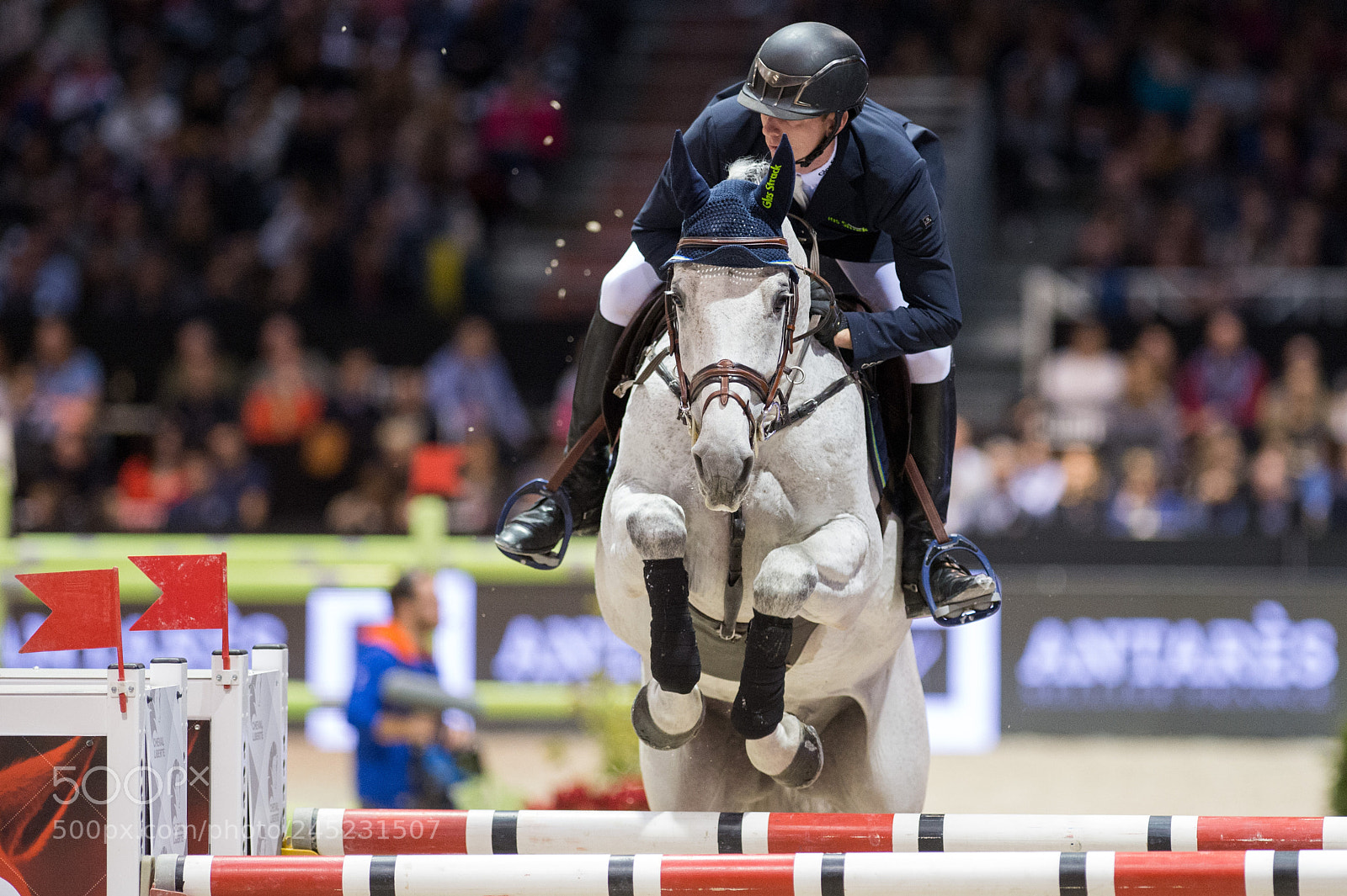 Nikon D4 sample photo. Bordeaux, france, 4.2.2018, sport photography