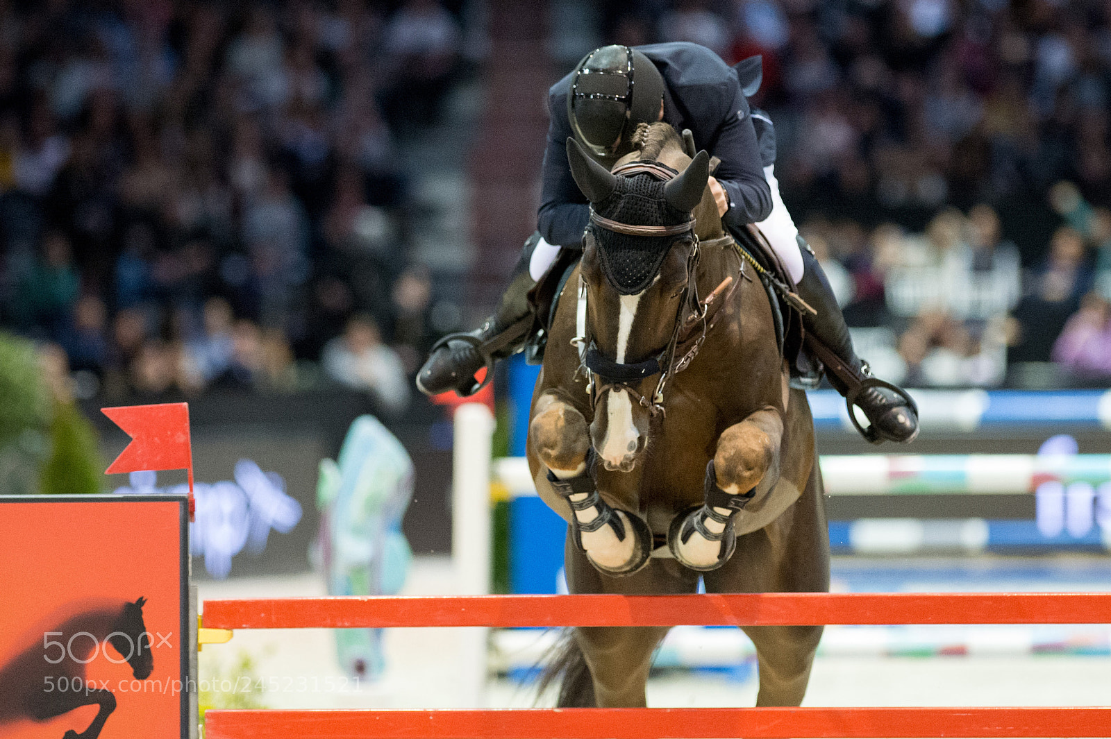 Nikon D4 sample photo. Bordeaux, france, 4.2.2018, sport photography
