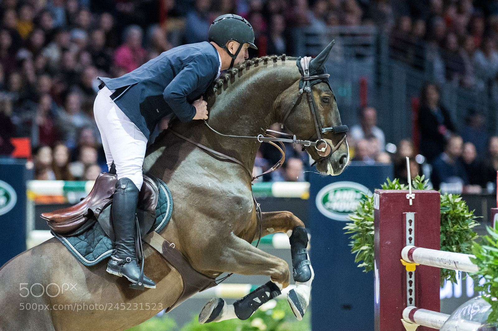 Nikon D4 sample photo. Bordeaux, france, 4.2.2018, sport photography