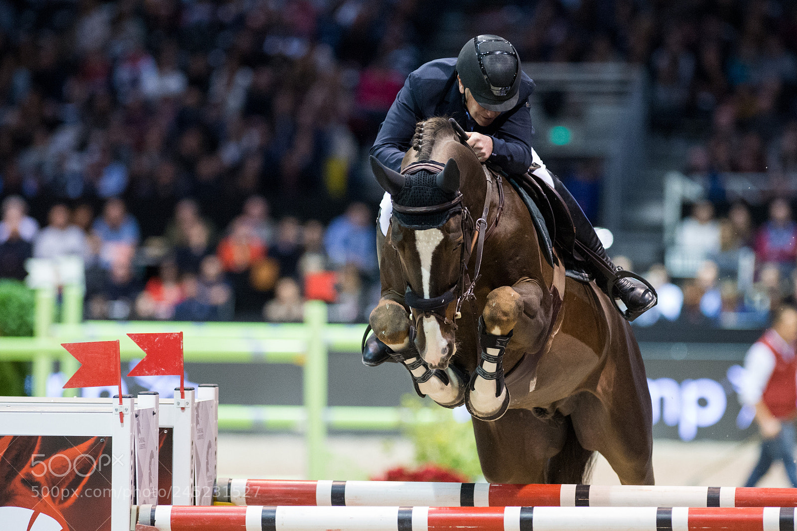 Nikon D4 sample photo. Bordeaux, france, 4.2.2018, sport photography