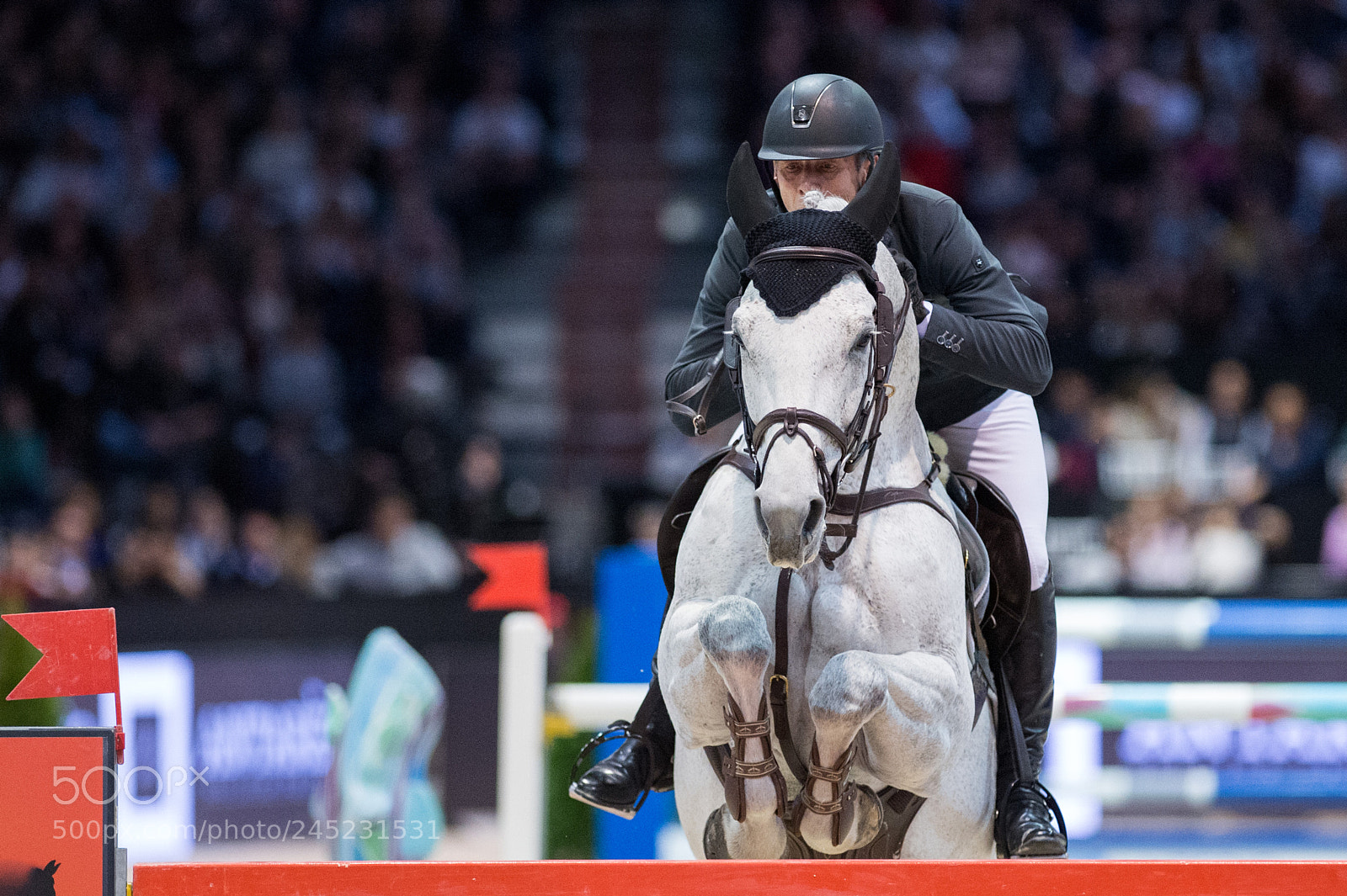 Nikon D4 sample photo. Bordeaux, france, 4.2.2018, sport photography