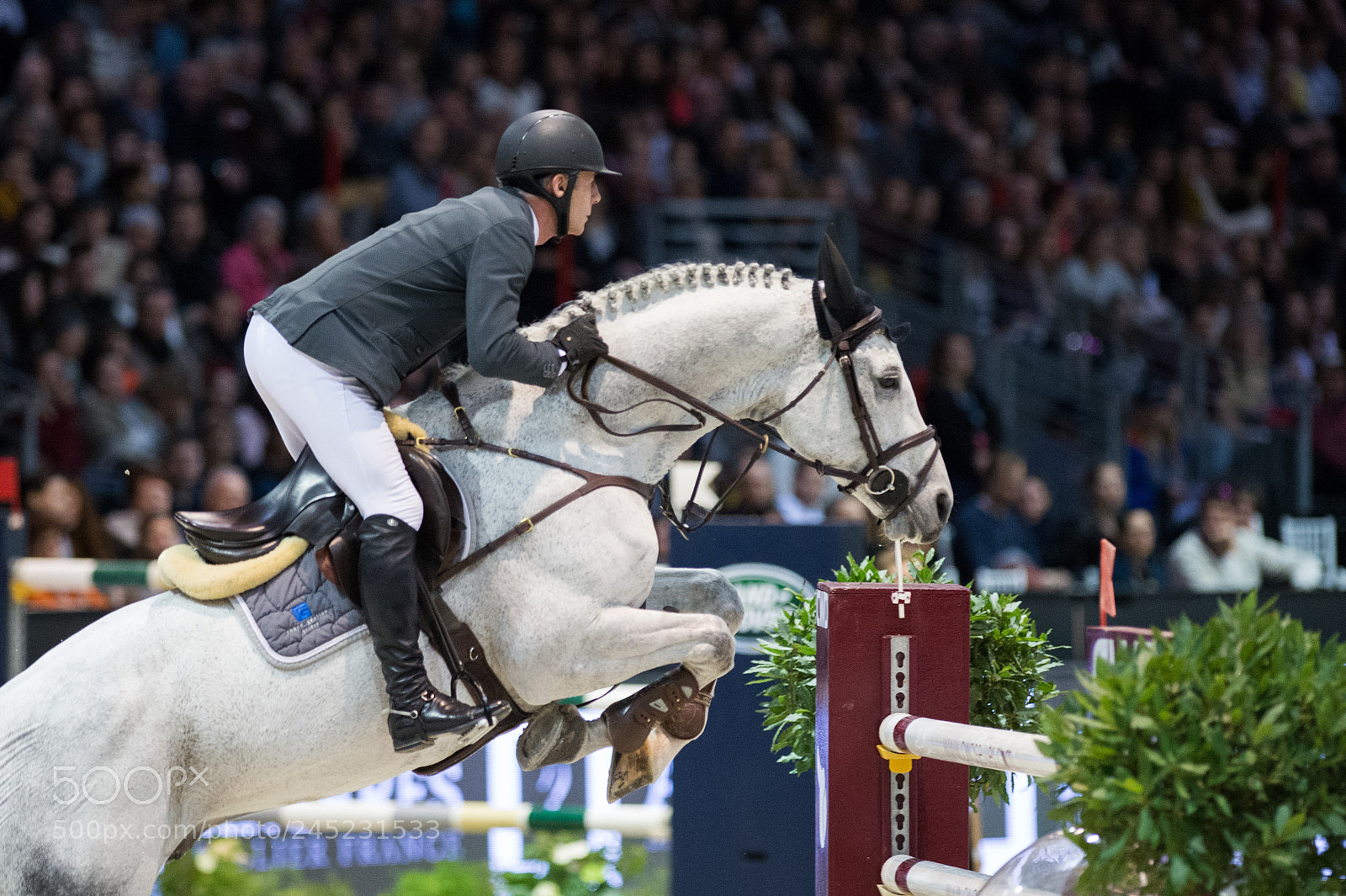 Nikon D4 sample photo. Bordeaux, france, 4.2.2018, sport photography