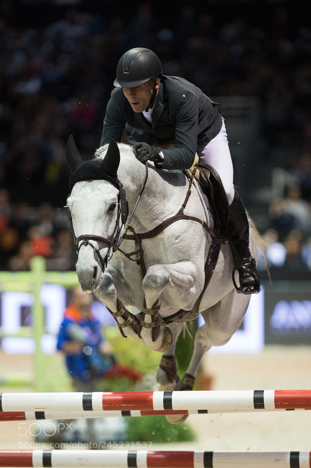 Nikon D4 sample photo. Bordeaux, france, 4.2.2018, sport photography