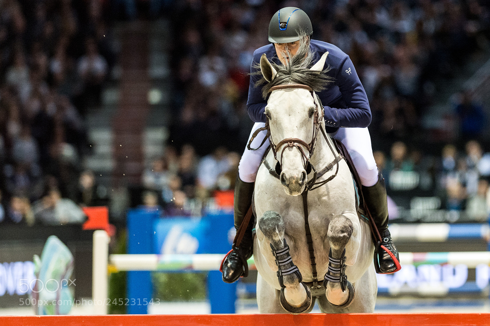 Nikon D4 sample photo. Bordeaux, france, 4.2.2018, sport photography