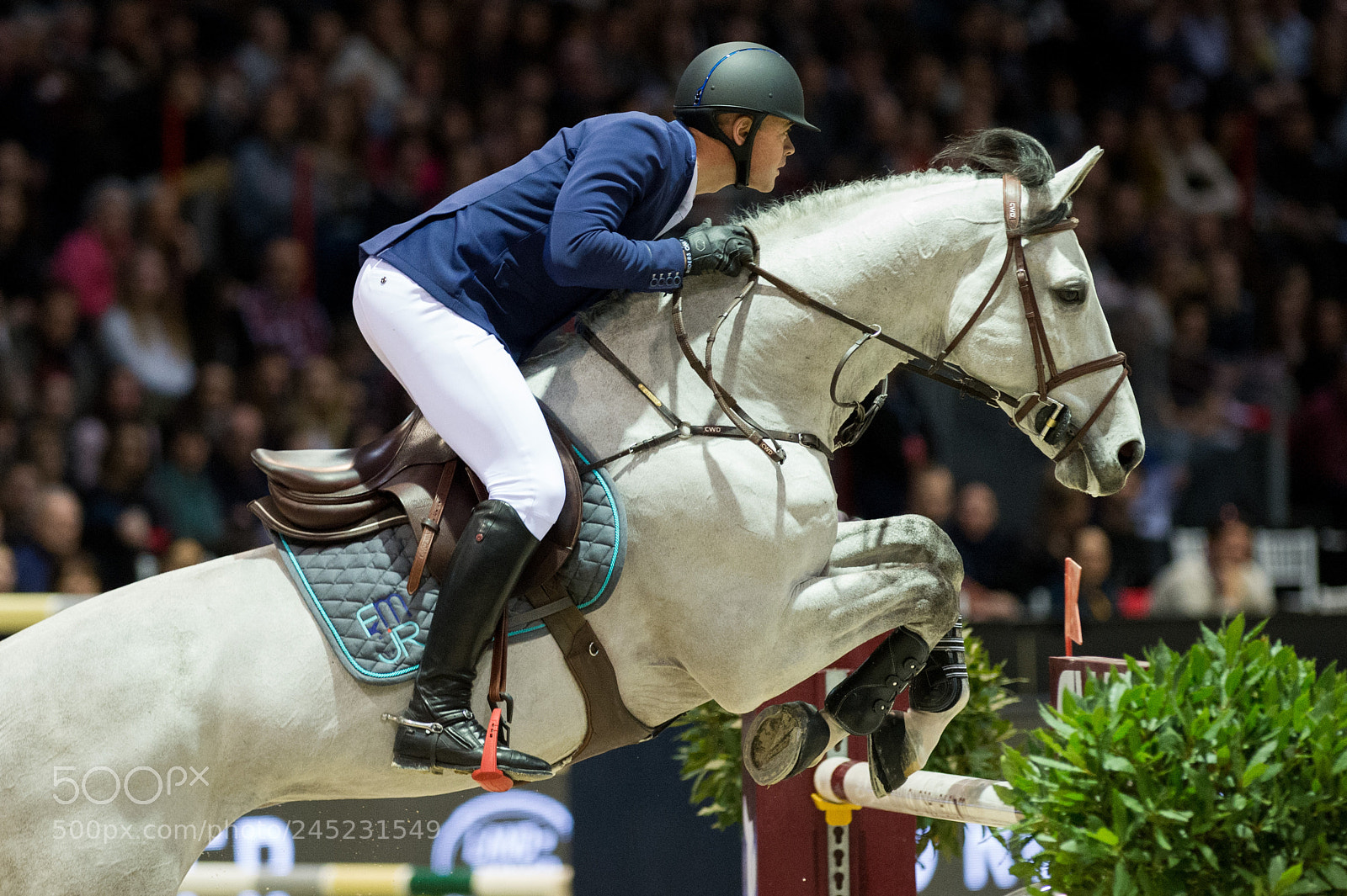 Nikon D4 sample photo. Bordeaux, france, 4.2.2018, sport photography
