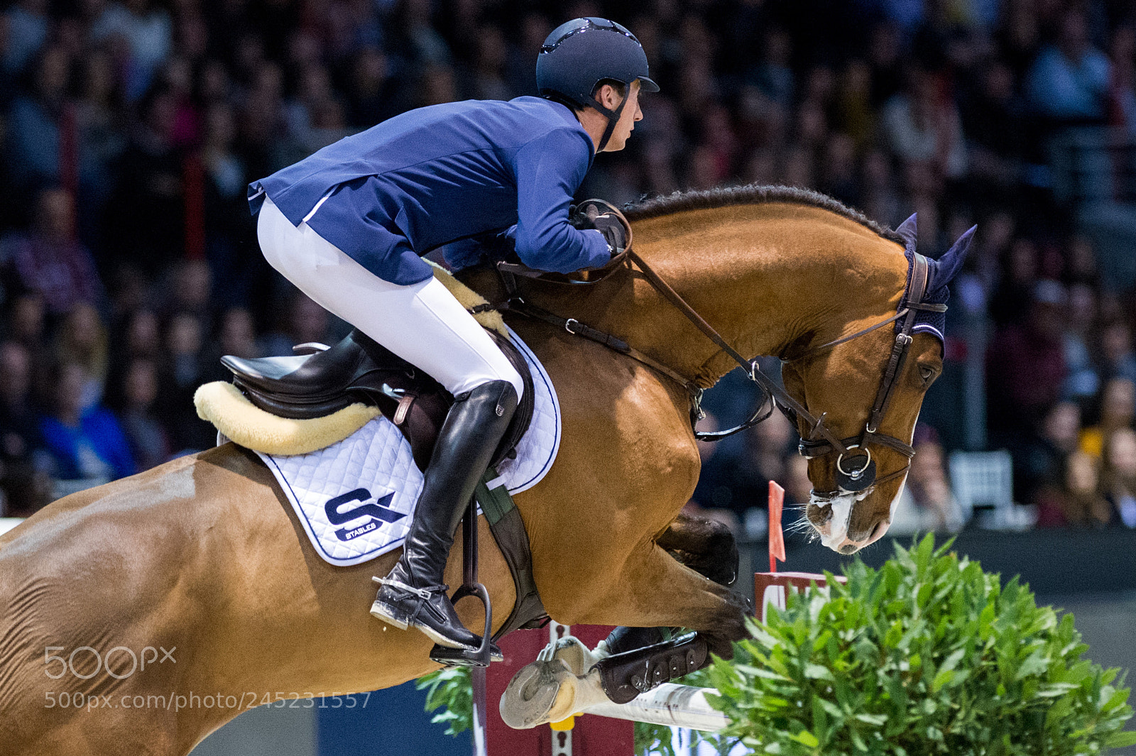 Nikon D4 sample photo. Bordeaux, france, 4.2.2018, sport photography