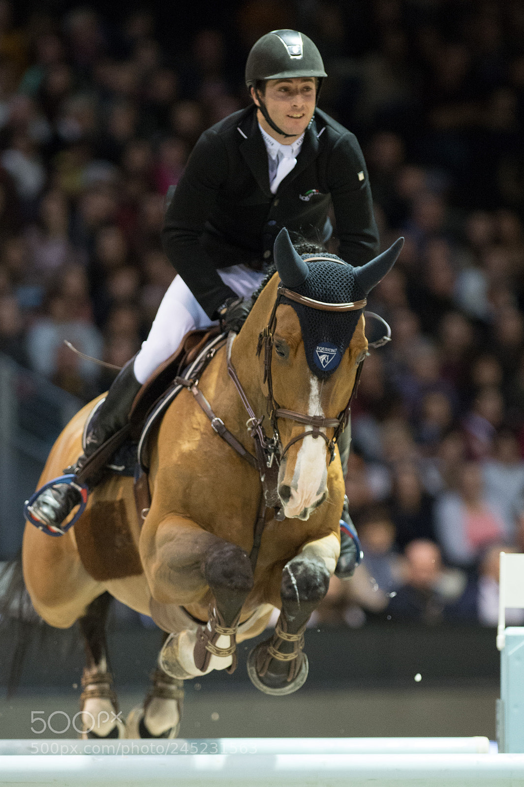 Nikon D4 sample photo. Bordeaux, france, 4.2.2018, sport photography