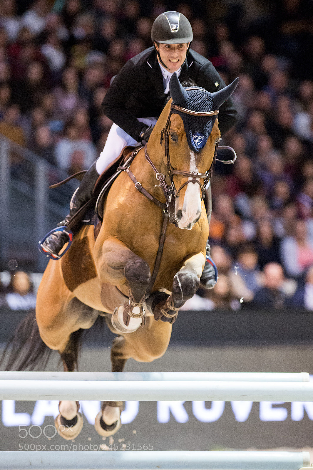 Nikon D4 sample photo. Bordeaux, france, 4.2.2018, sport photography