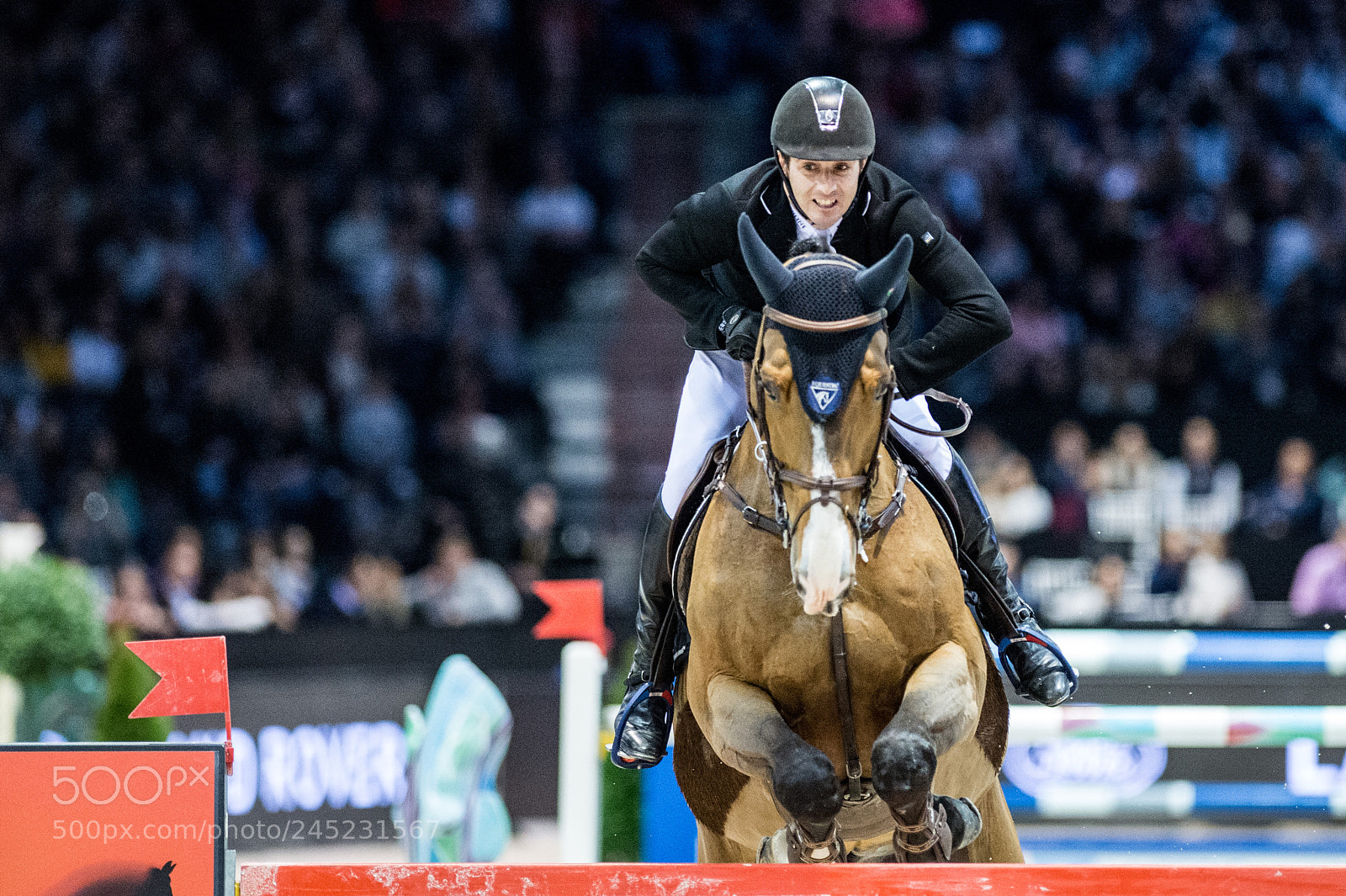Nikon D4 sample photo. Bordeaux, france, 4.2.2018, sport photography