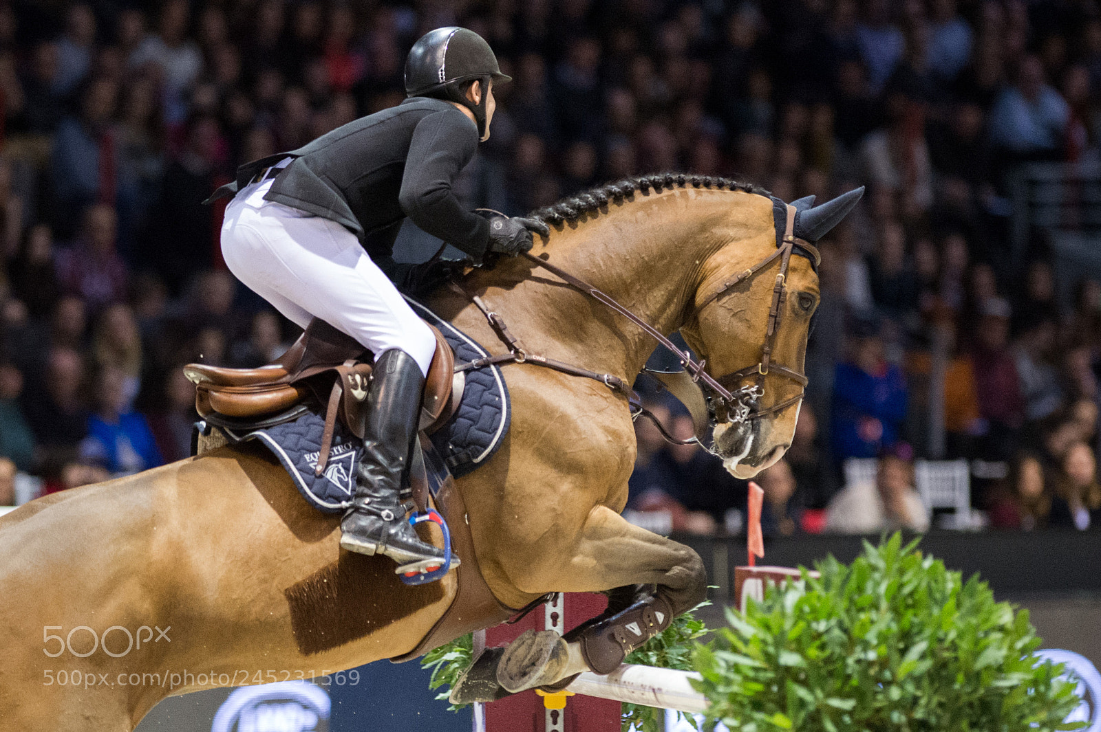 Nikon D4 sample photo. Bordeaux, france, 4.2.2018, sport photography