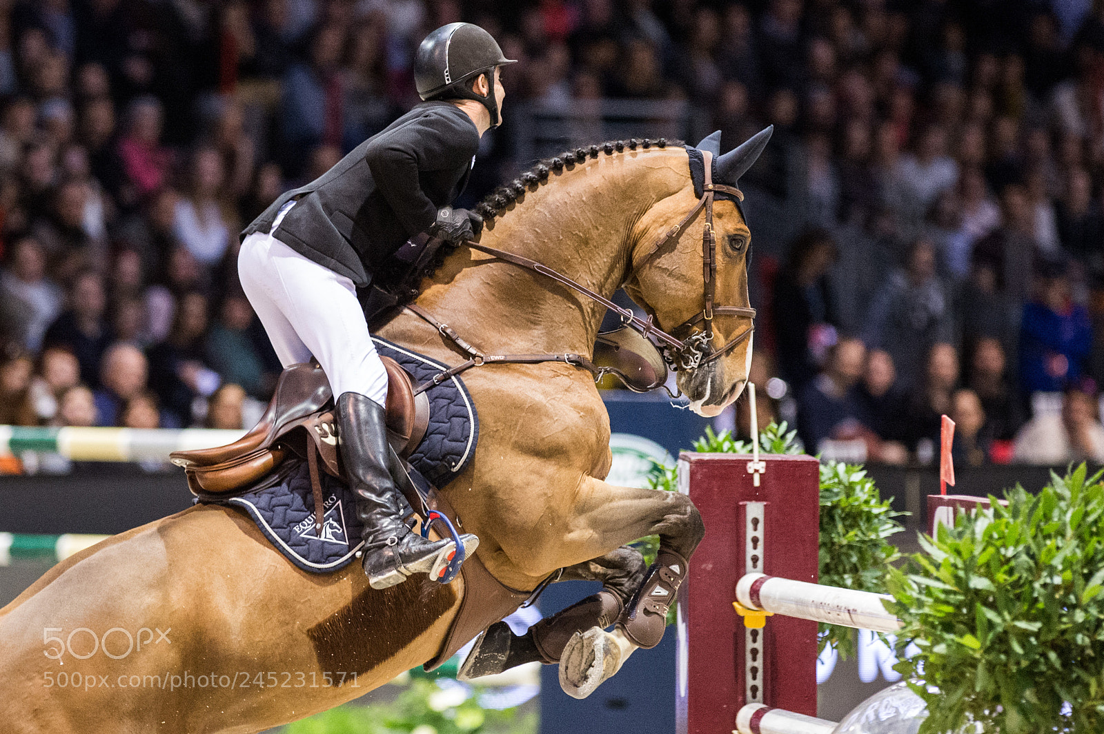 Nikon D4 sample photo. Bordeaux, france, 4.2.2018, sport photography