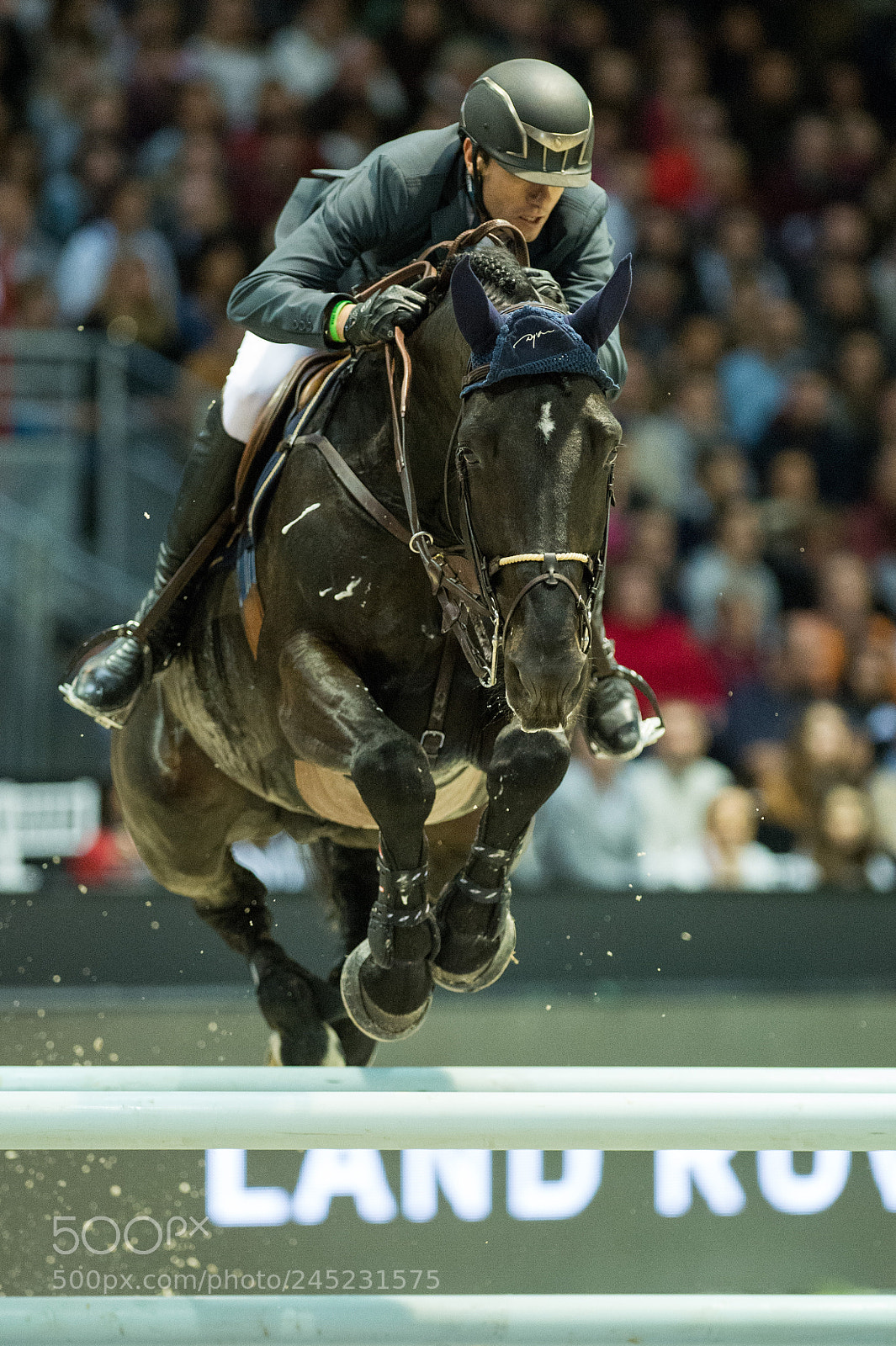 Nikon D4 sample photo. Bordeaux, france, 4.2.2018, sport photography