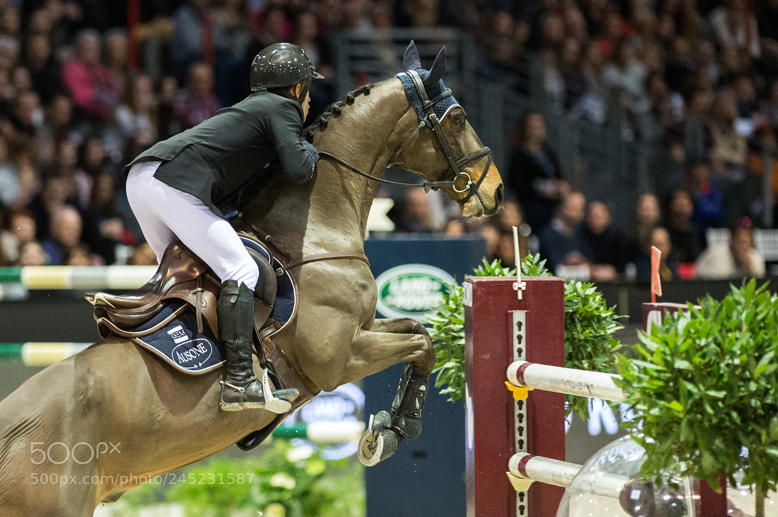 Nikon D4 sample photo. Bordeaux, france, 4.2.2018, sport photography