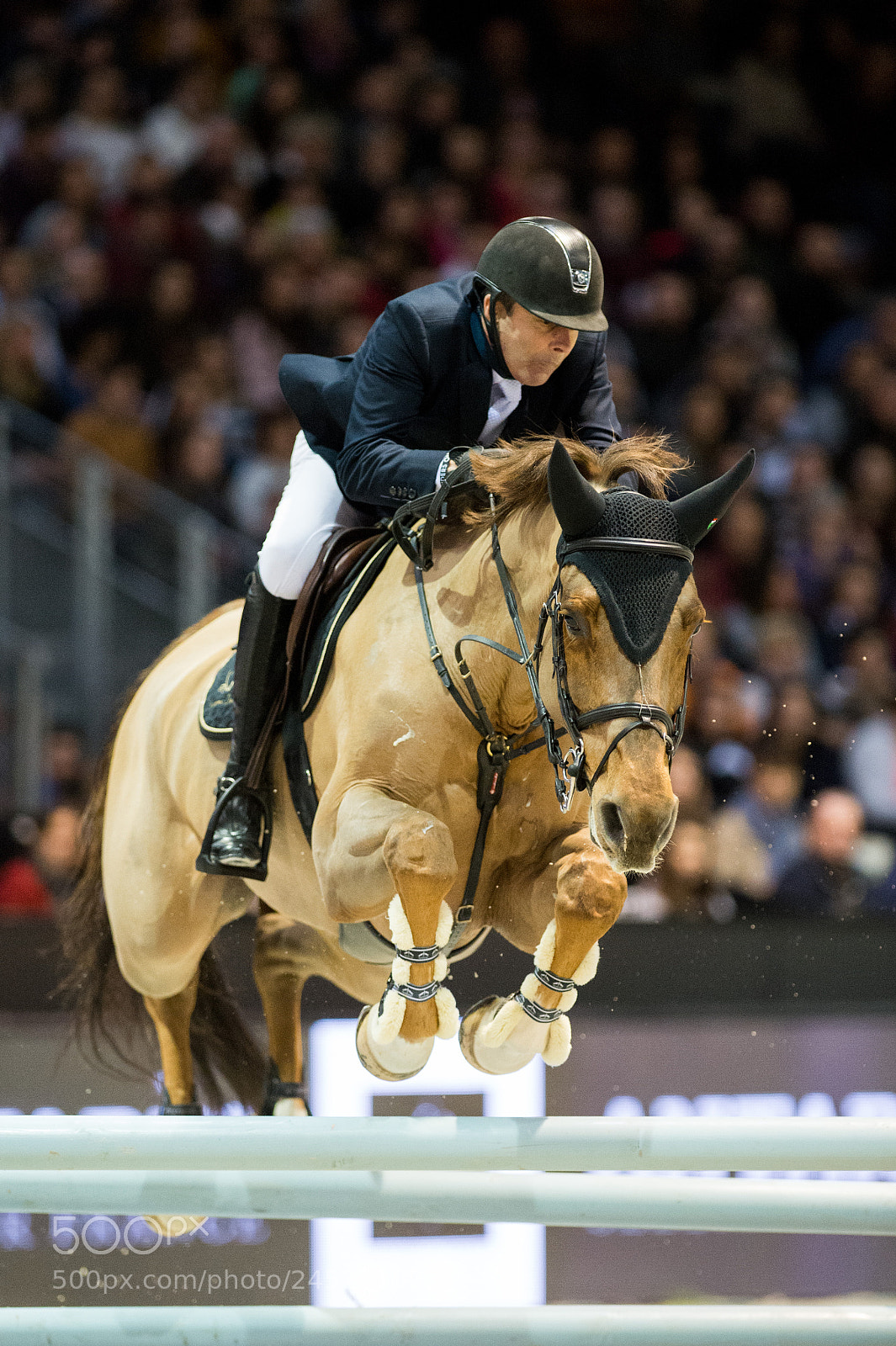 Nikon D4 sample photo. Bordeaux, france, 4.2.2018, sport photography