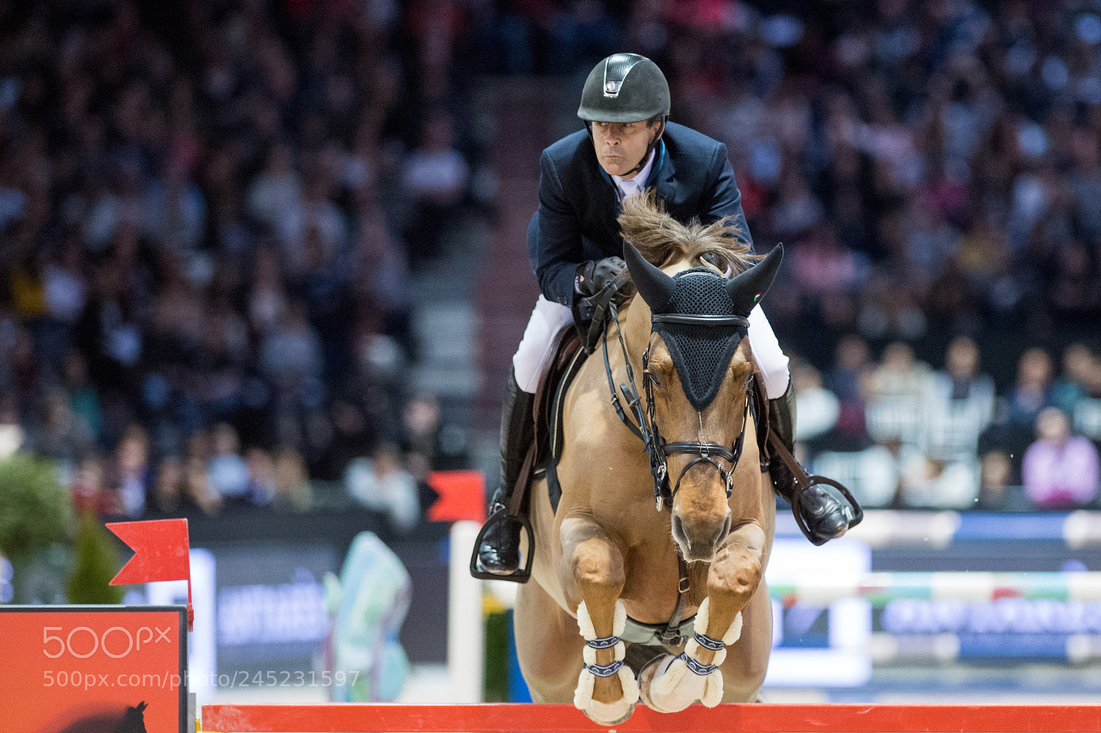 Nikon D4 sample photo. Bordeaux, france, 4.2.2018, sport photography