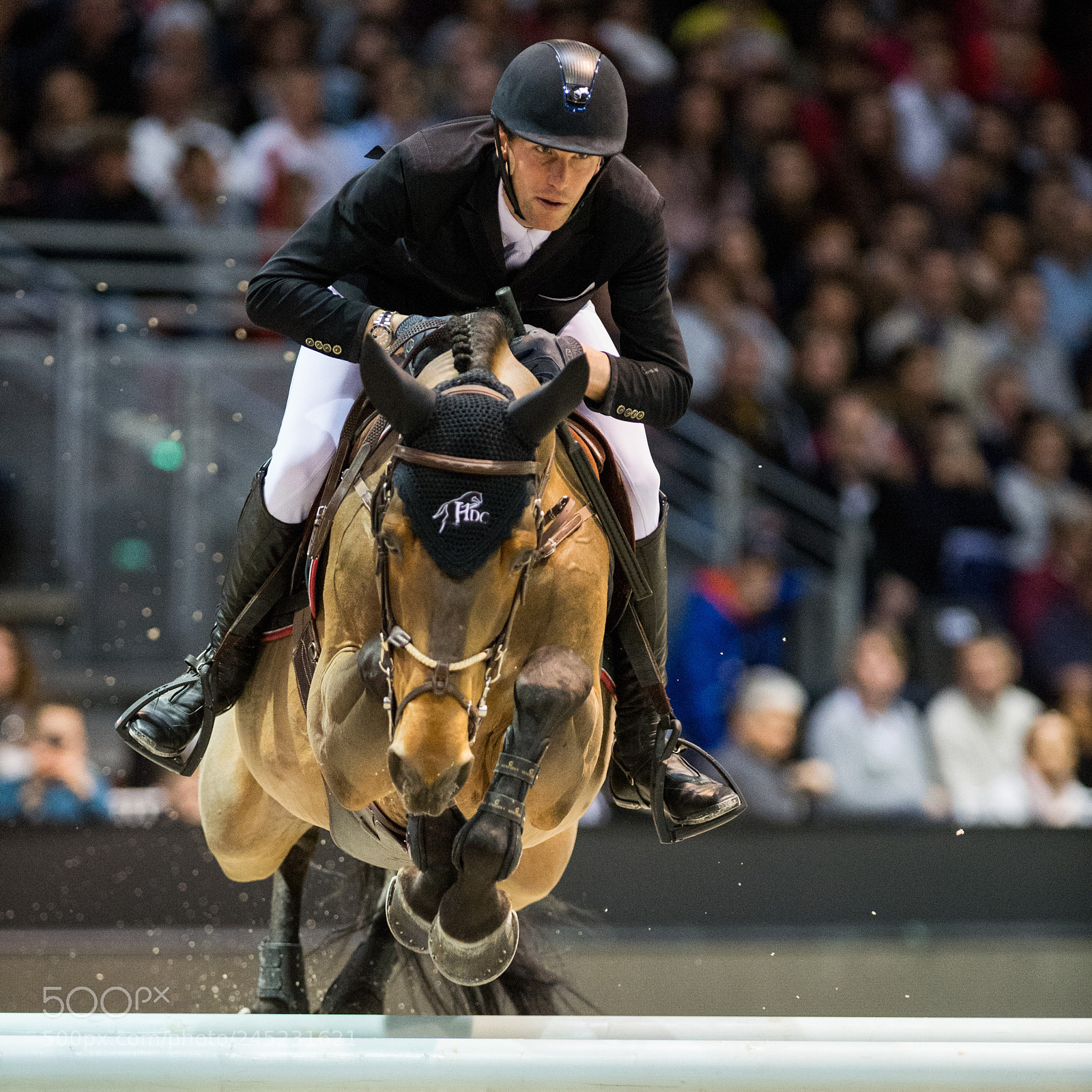 Nikon D4 sample photo. Bordeaux, france, 4.2.2018, sport photography